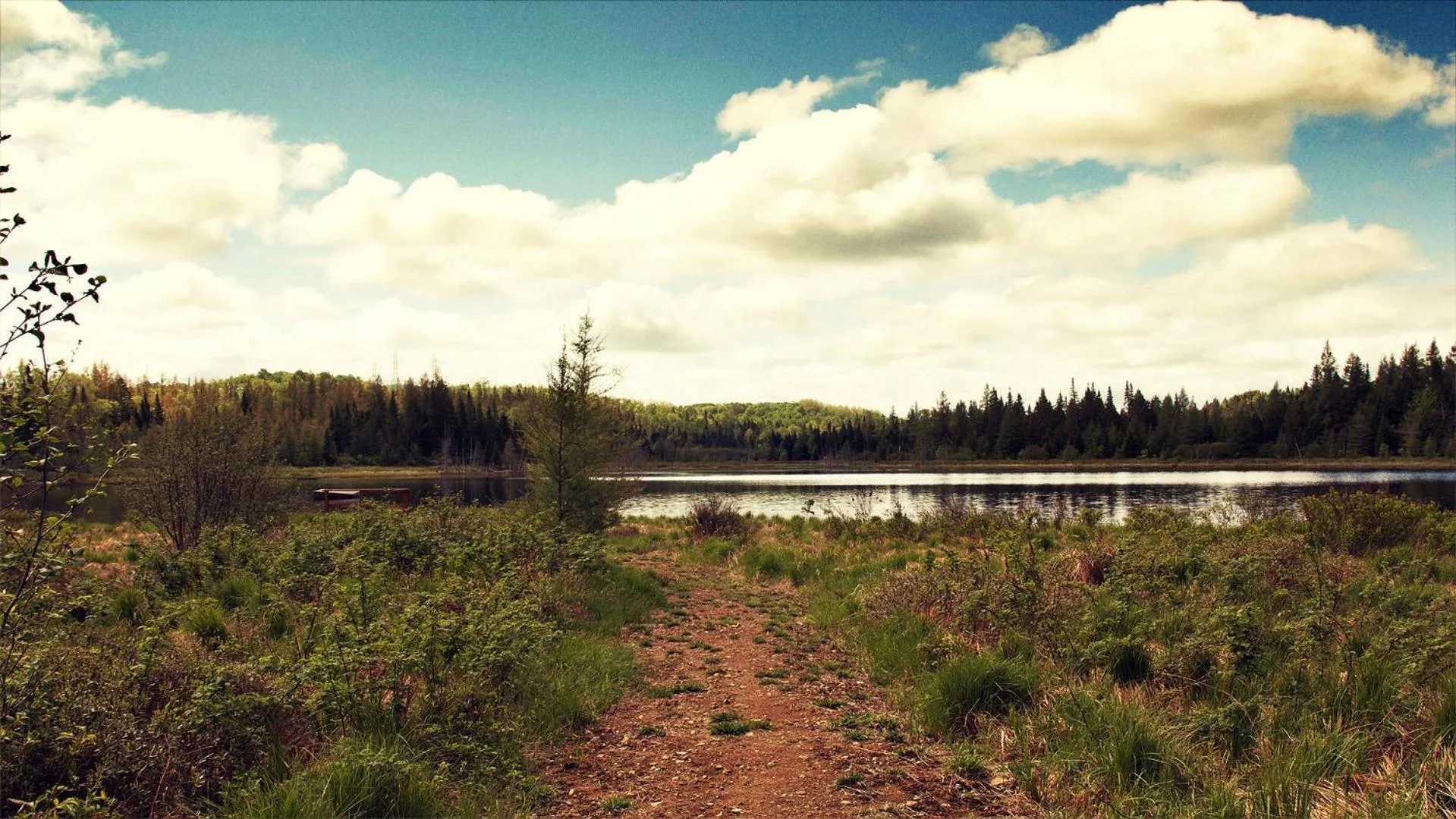 Day in Domaine Summum