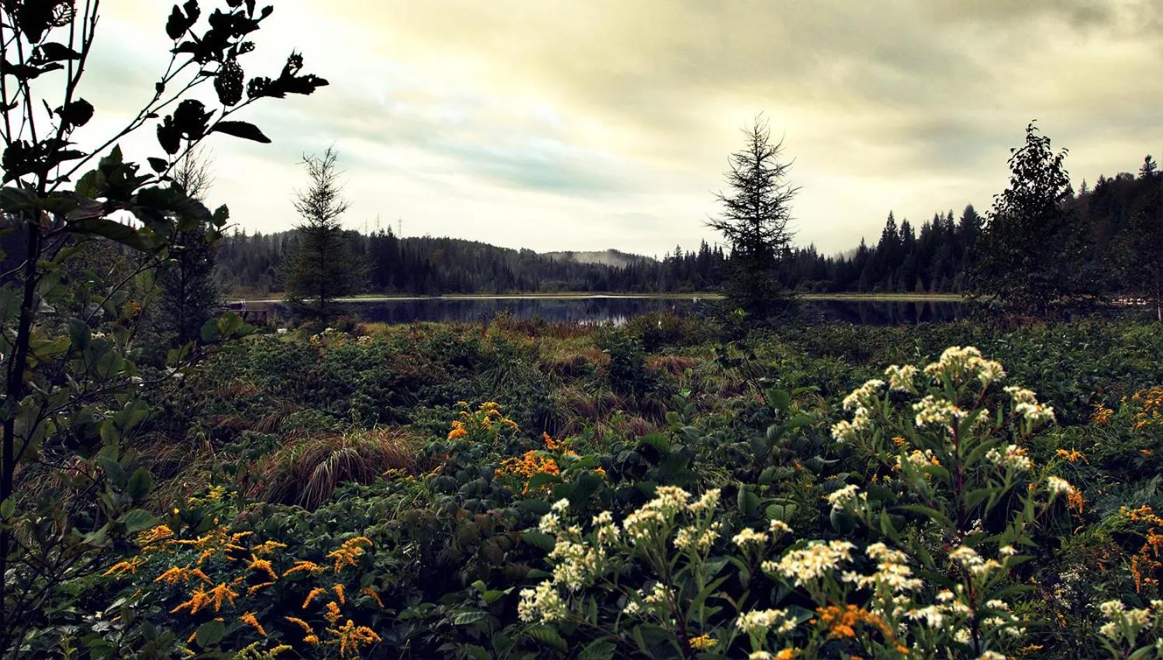 Day in Domaine Summum