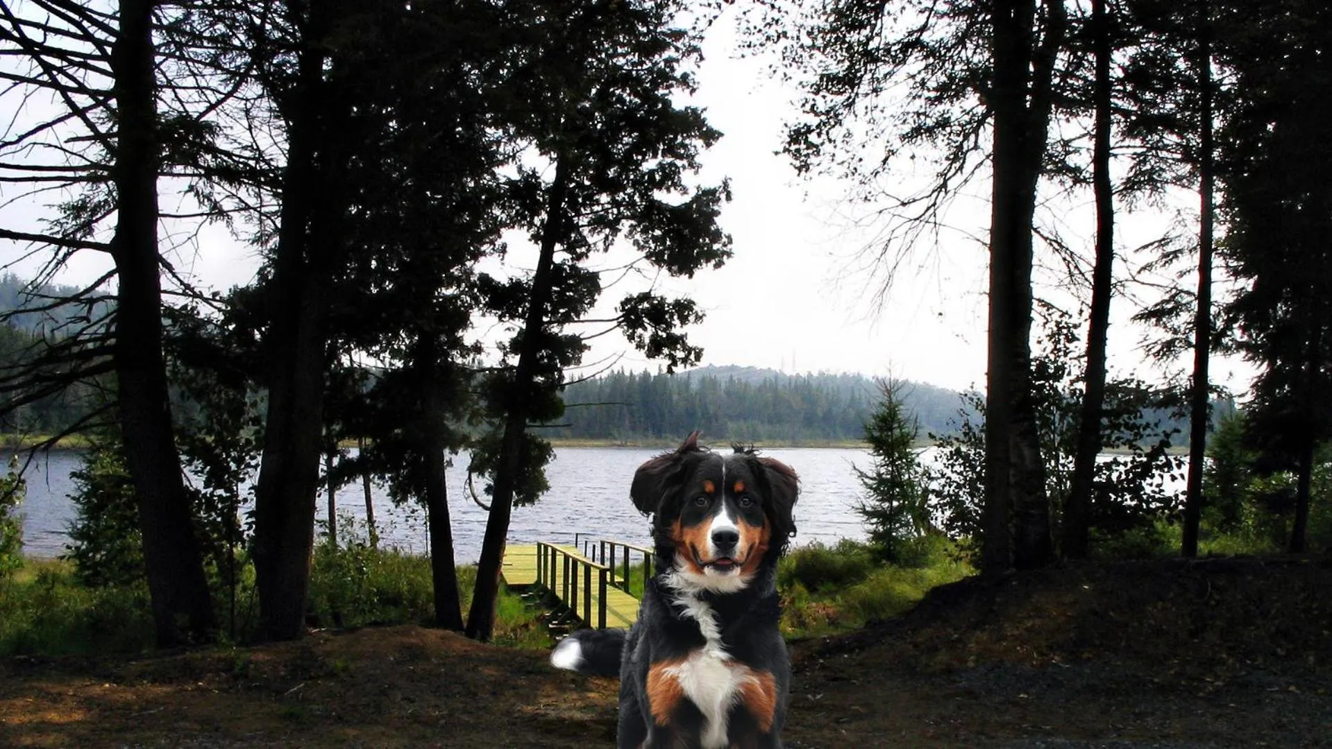 Day in Domaine Summum