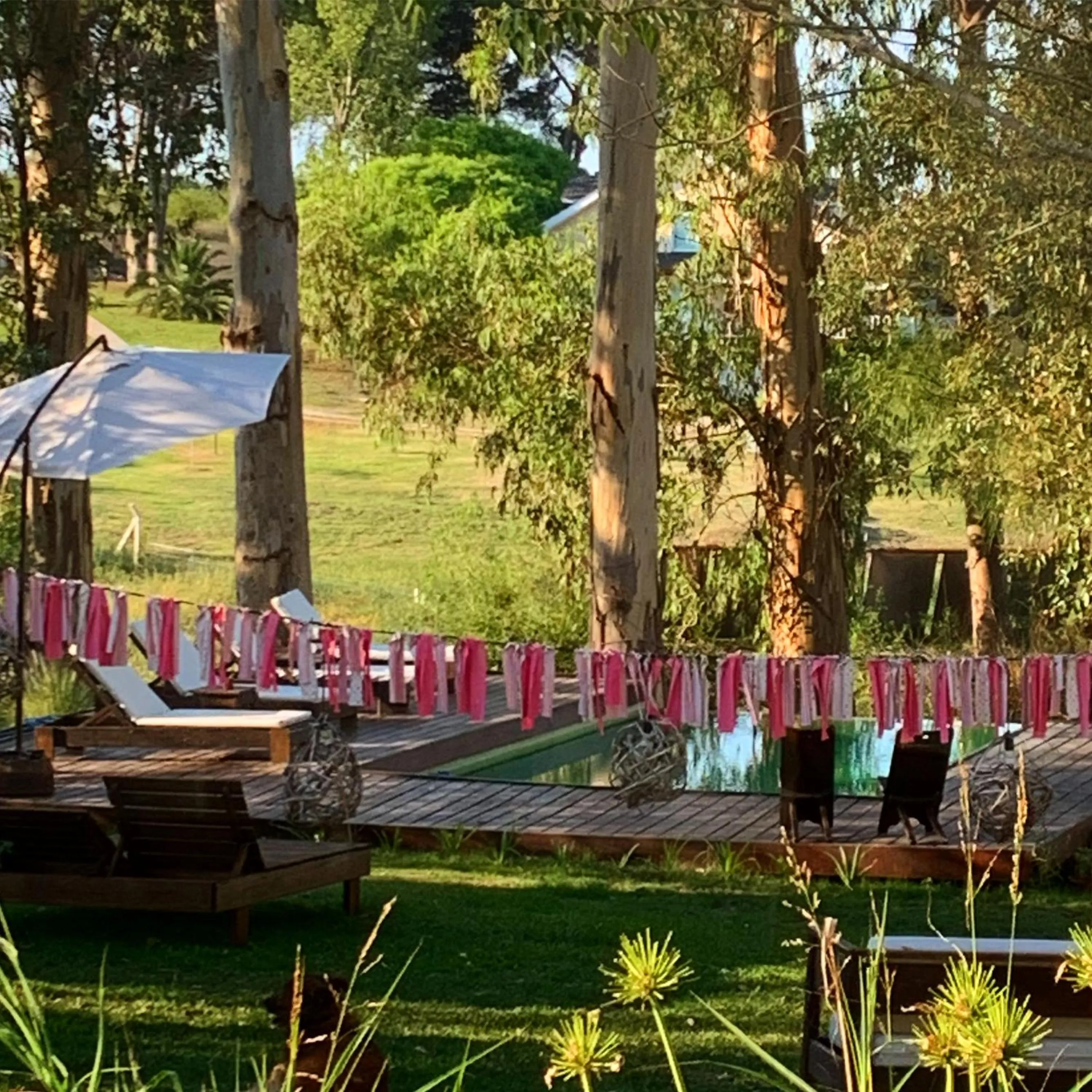 Garden in Al Natural Posada