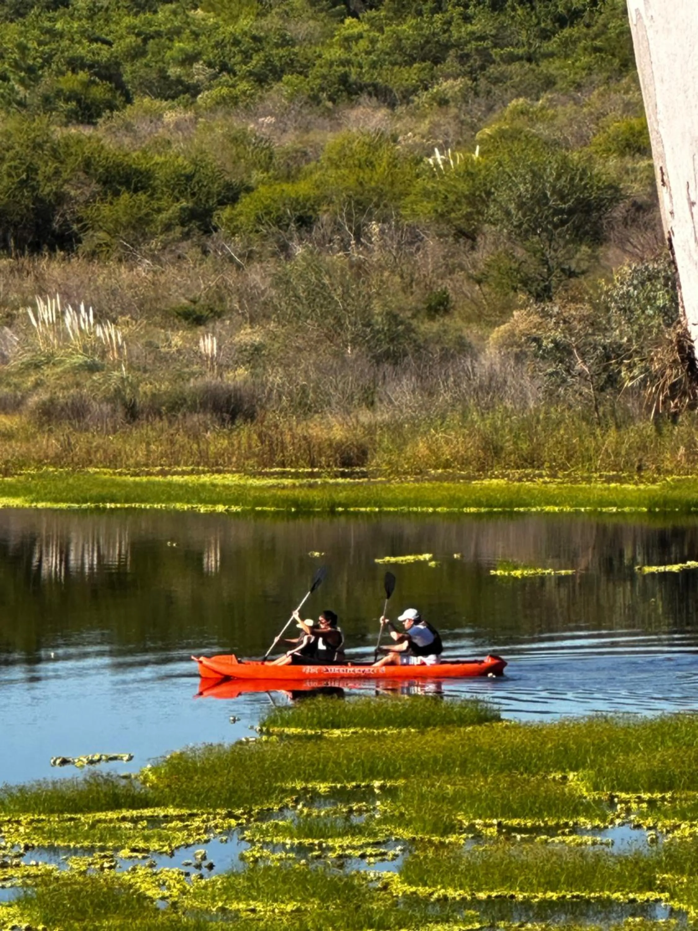Natural landscape in Al Natural Posada