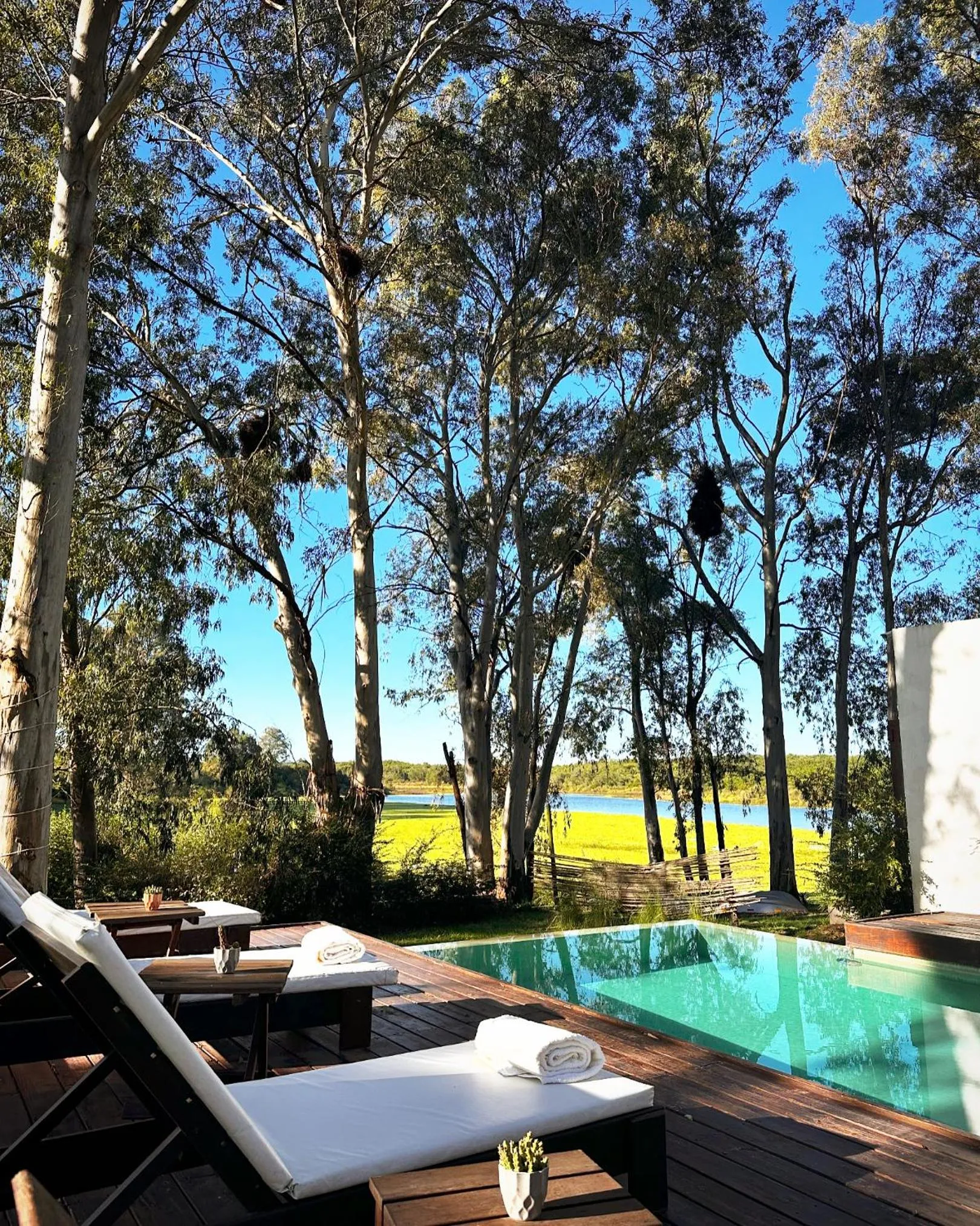 Garden in Al Natural Posada