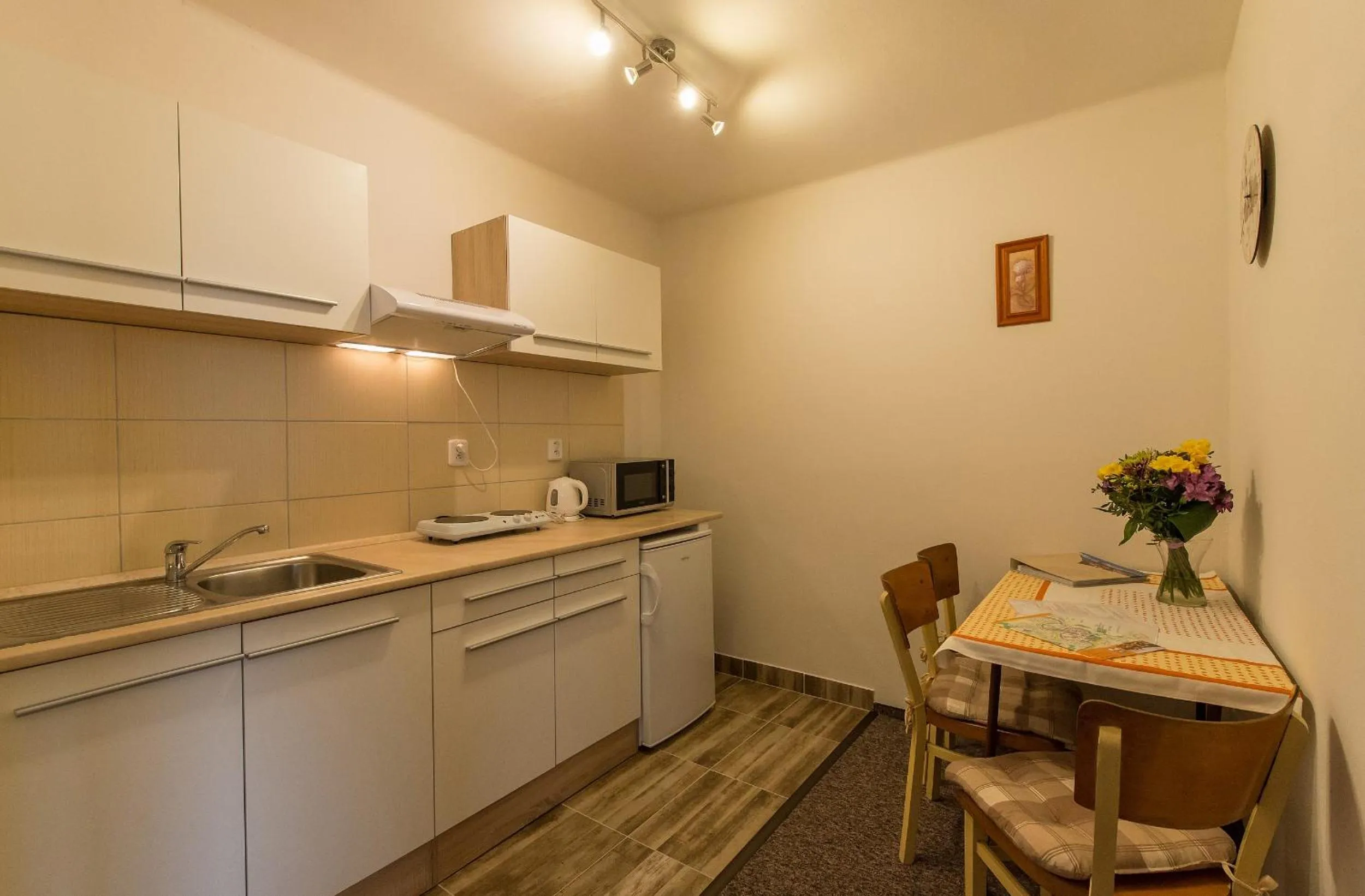 Kitchen or kitchenette in Penzion TOP