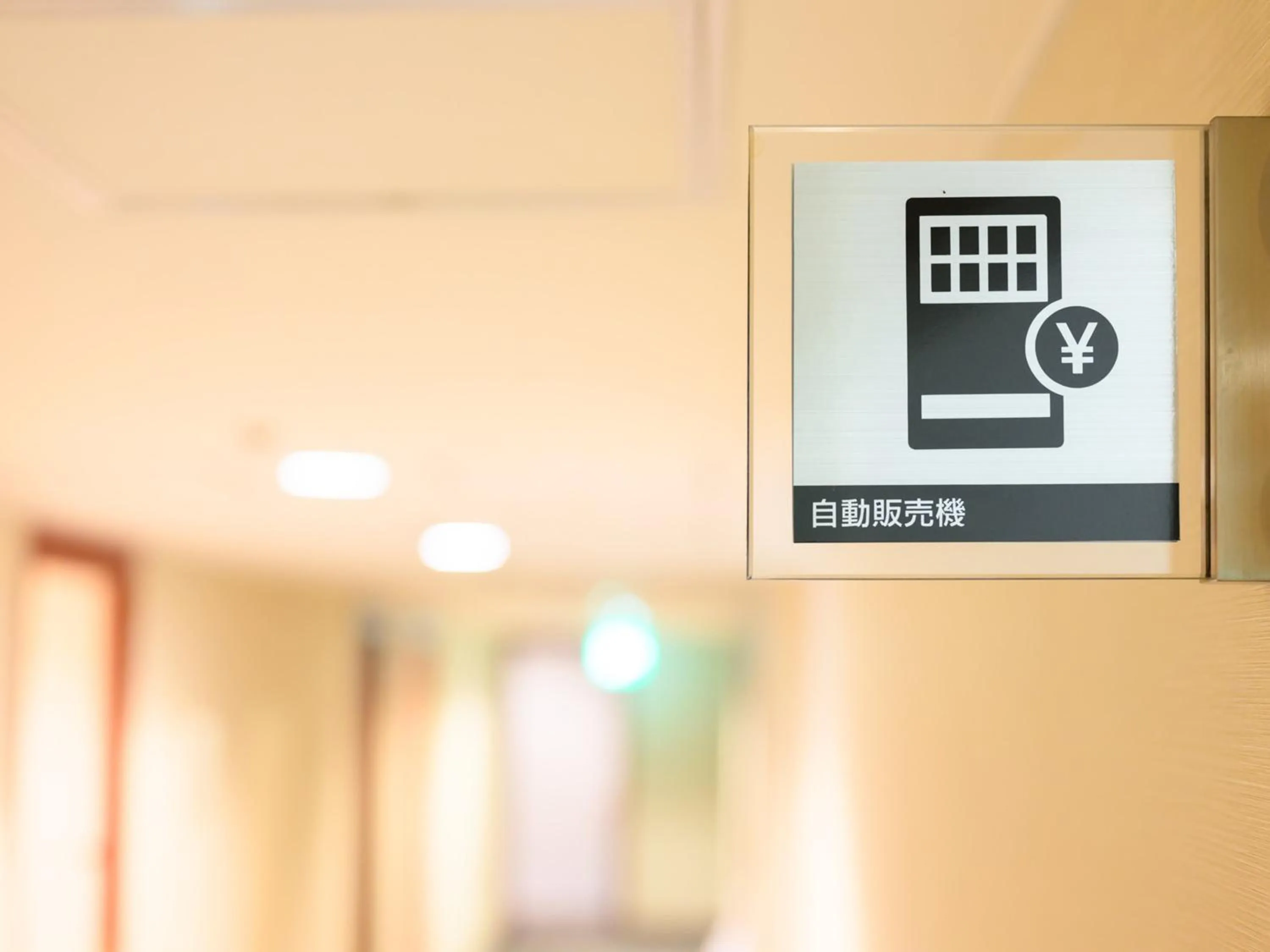 Area and facilities in Chisun Hotel Hiroshima