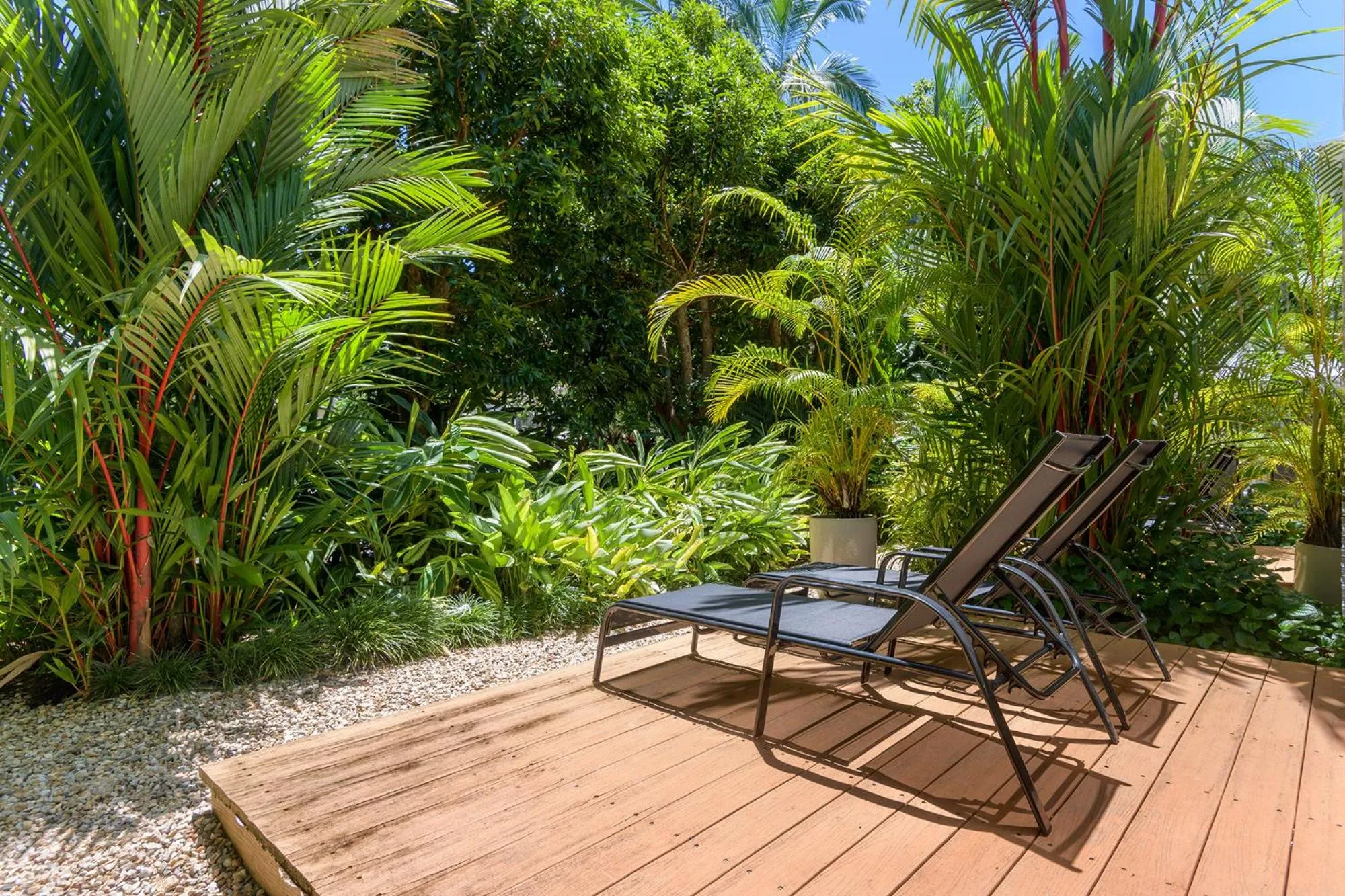 Patio in Port Douglas Apartments - Adults Only Oasis