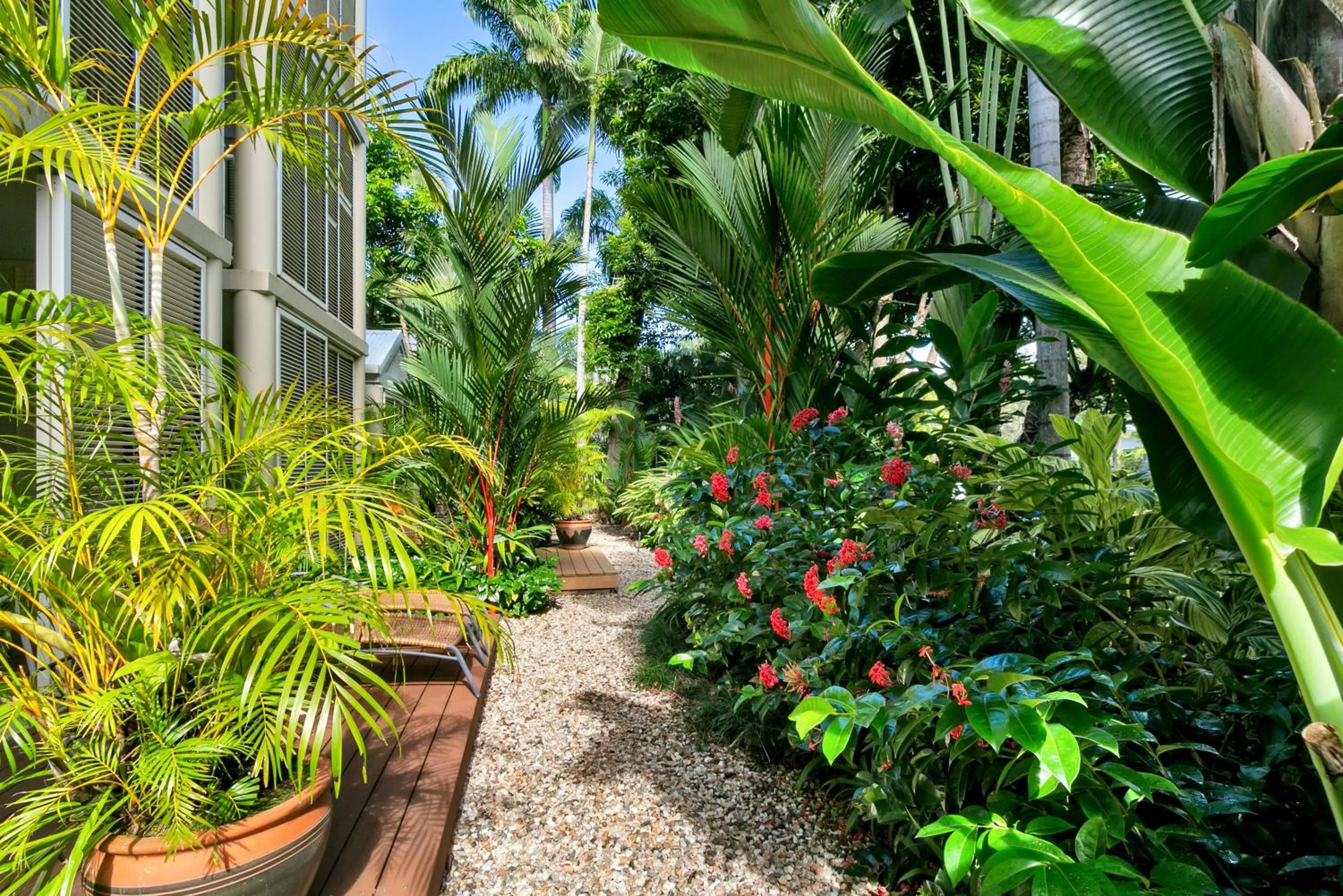Garden in Port Douglas Apartments - Adults Only Oasis