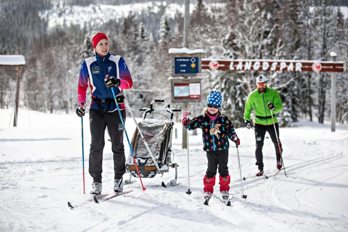 Activities in Renfjällsgården