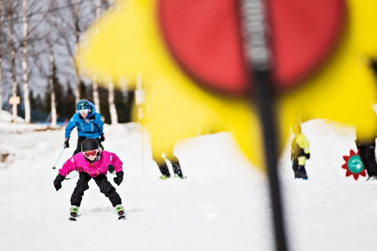 Activities in Renfjällsgården