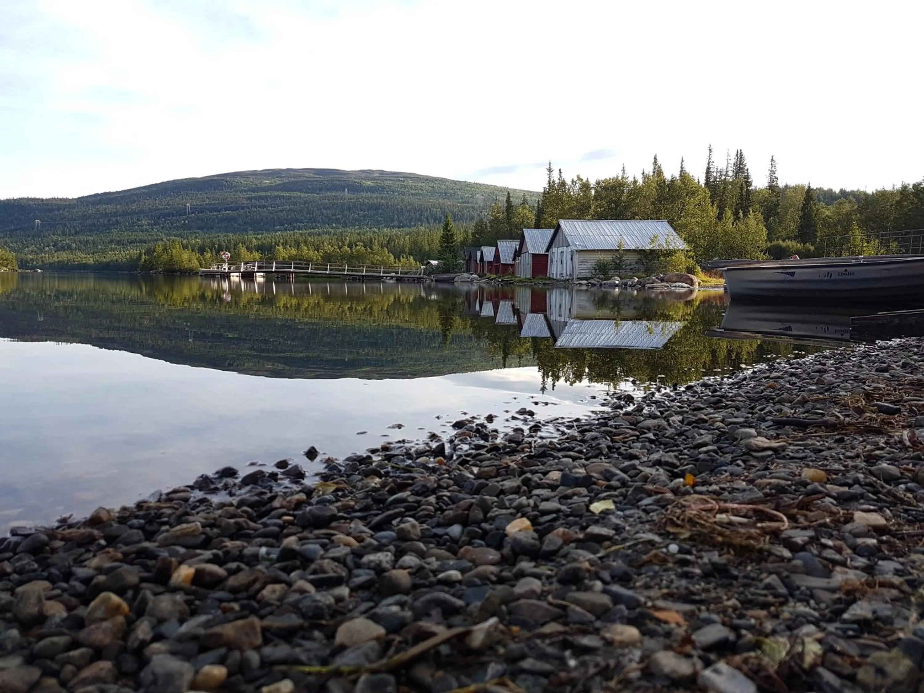 Natural landscape in Renfjällsgården