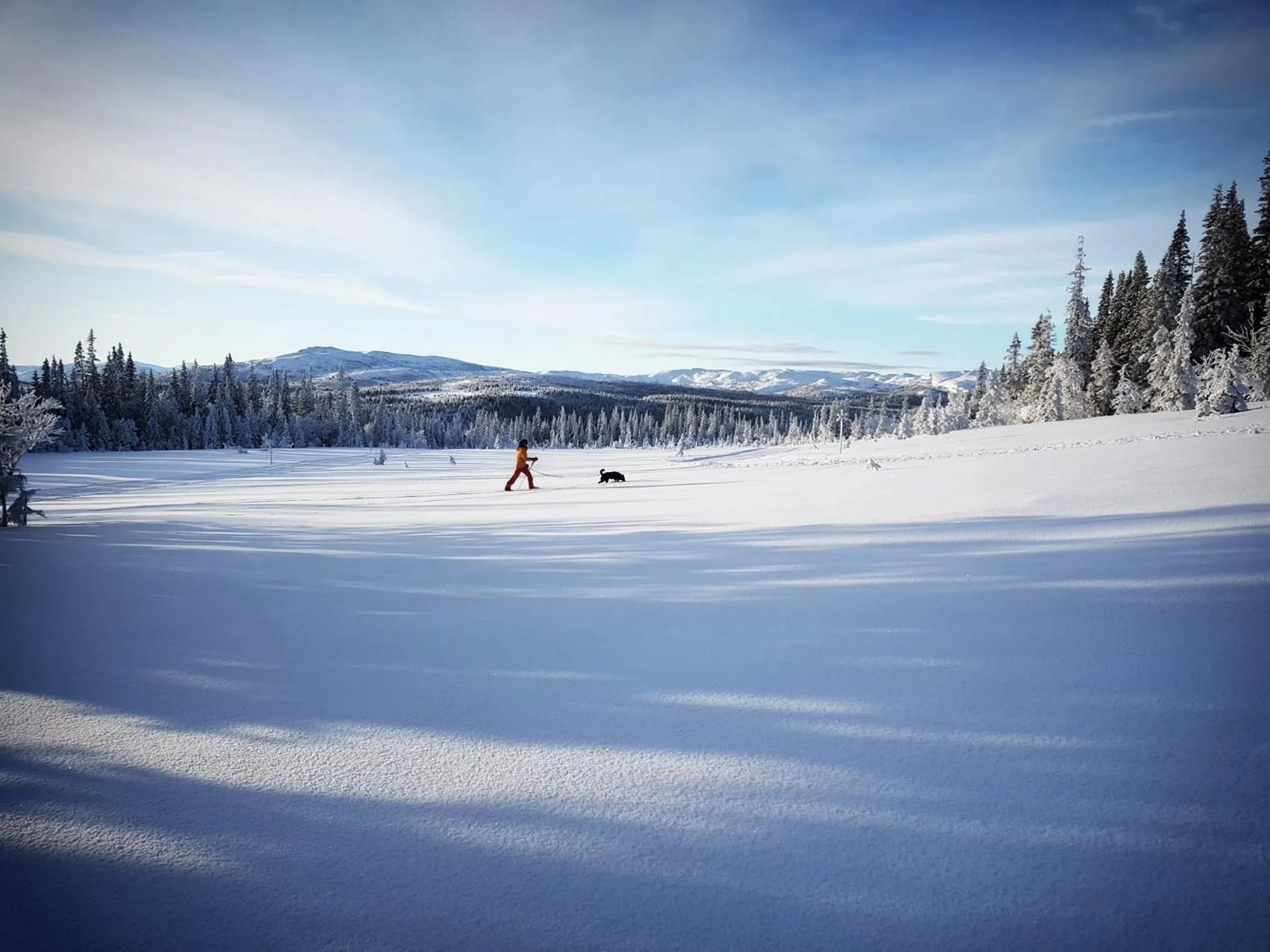 Natural landscape in Renfjällsgården