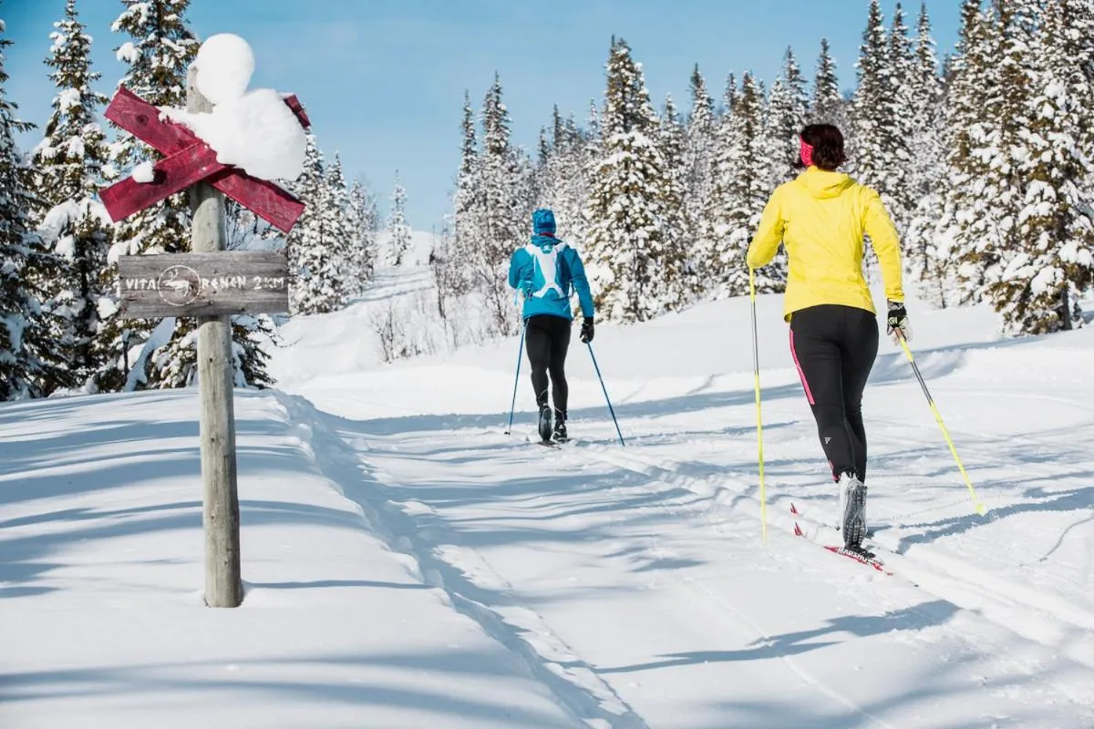 Winter in Renfjällsgården