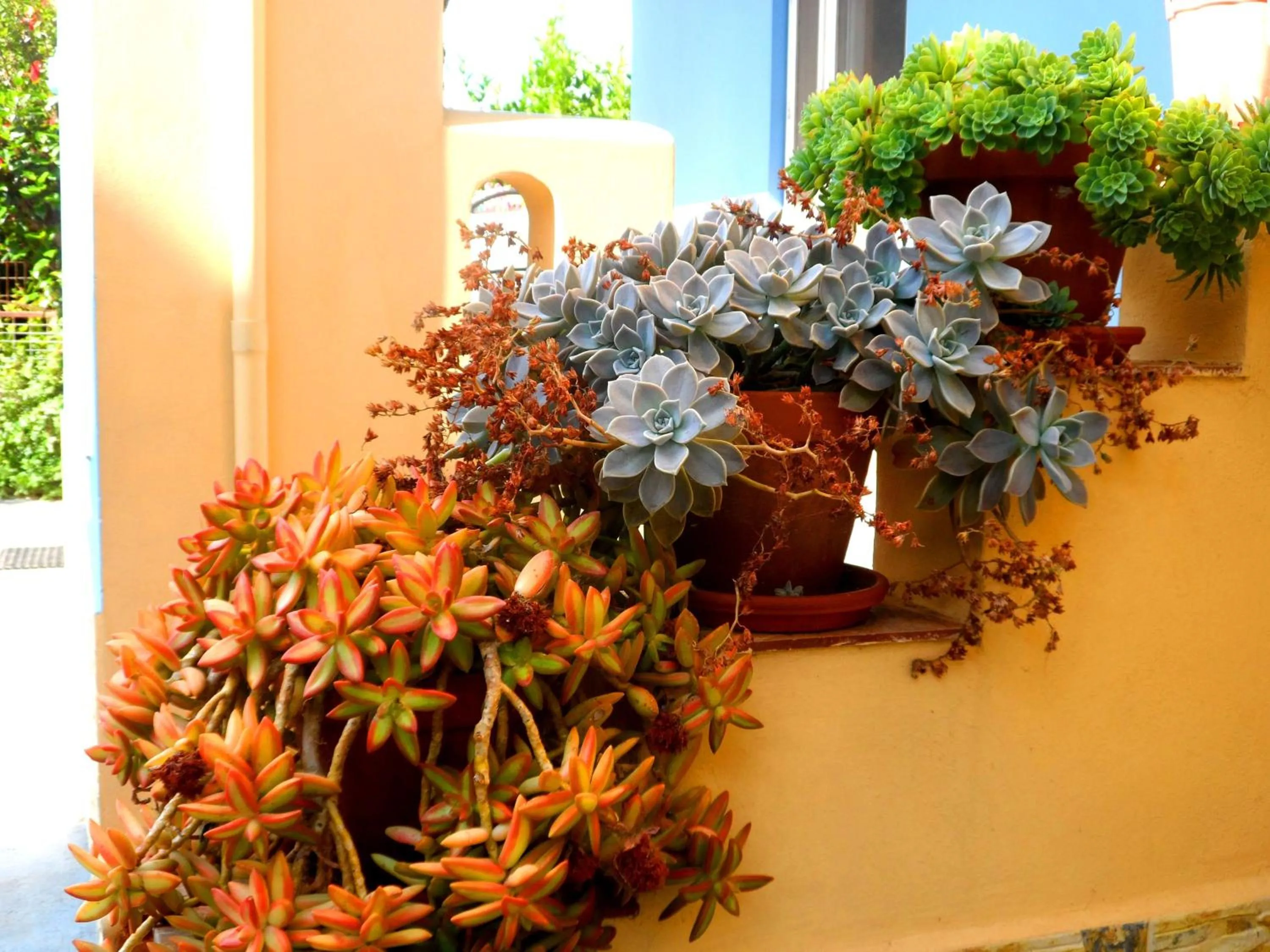 Decorative detail in Papafotis Apartments & Suites