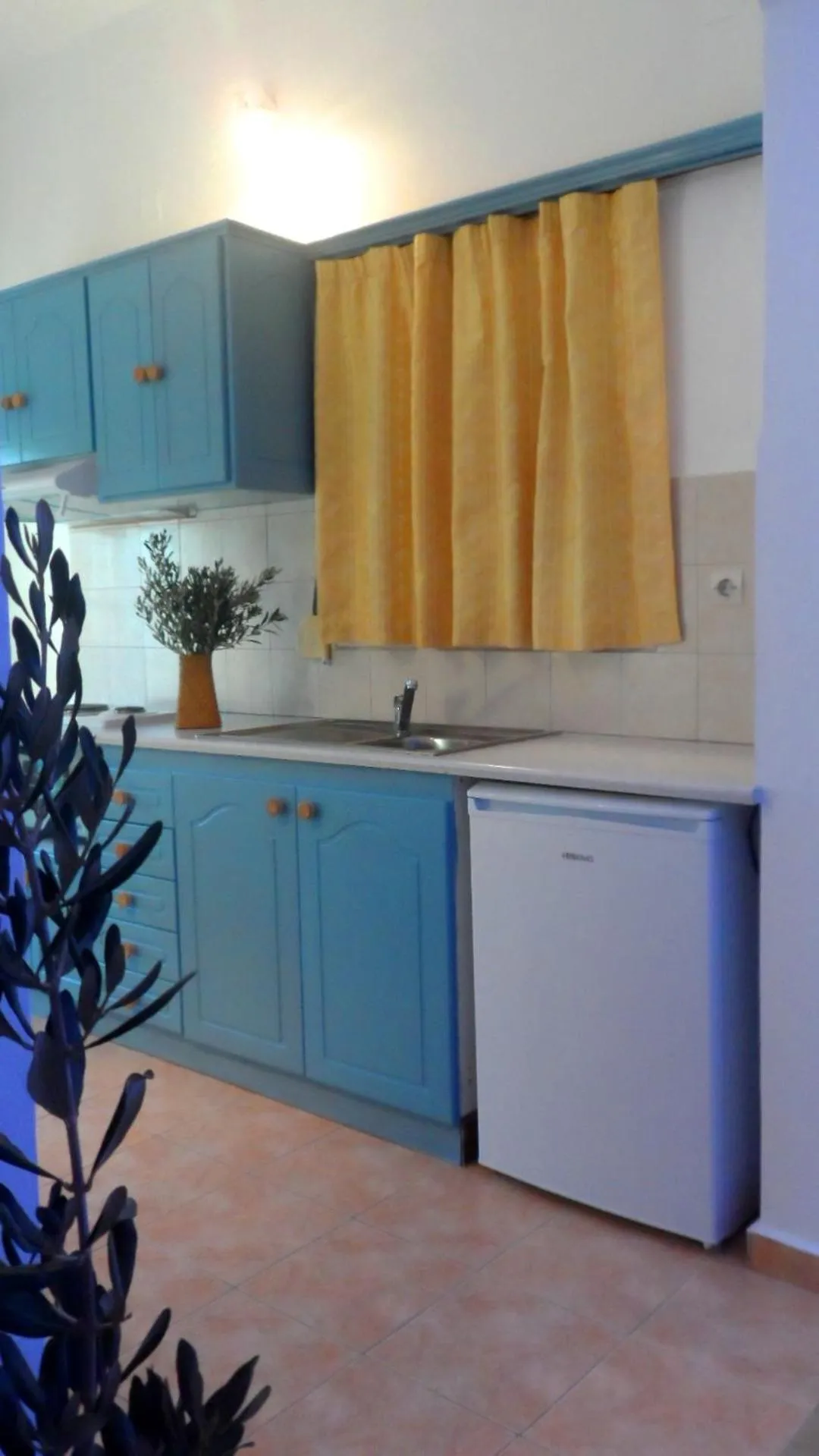 Kitchen or kitchenette in Papafotis Apartments & Suites