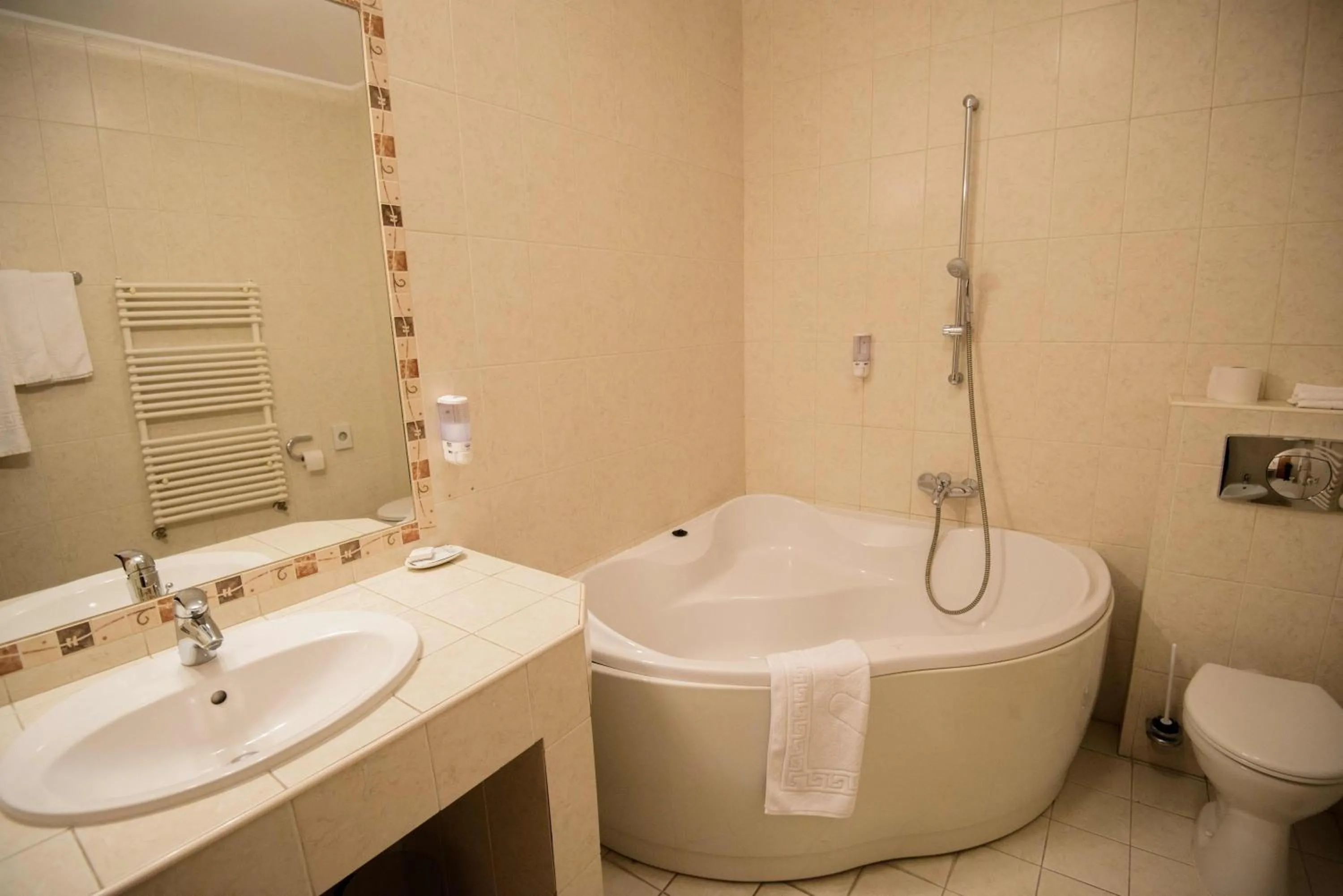 Bathroom in Hotel Alinalex - Paradisul Acvatic
