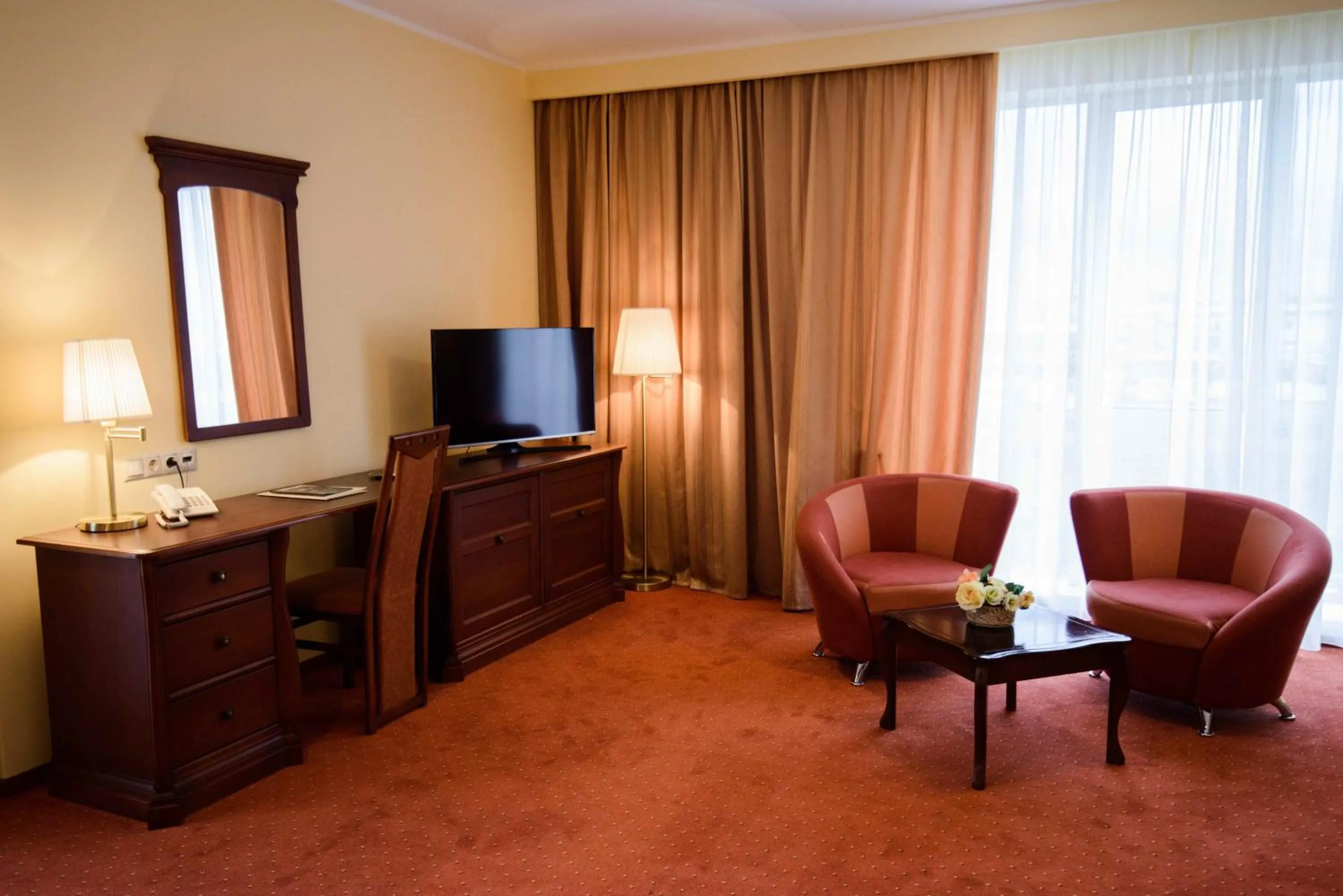 TV and multimedia in Hotel Alinalex - Paradisul Acvatic