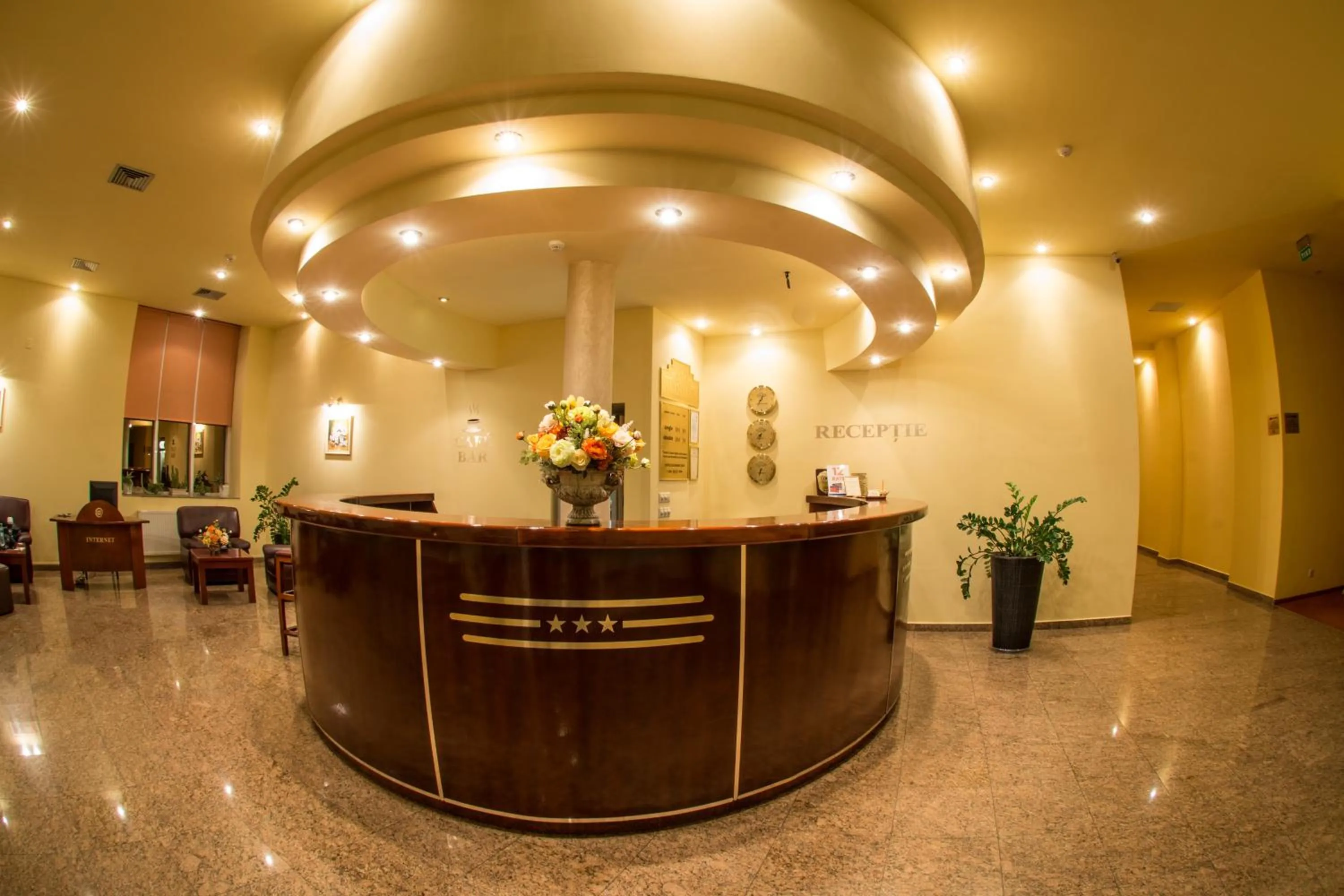Lobby or reception in Hotel Alinalex - Paradisul Acvatic