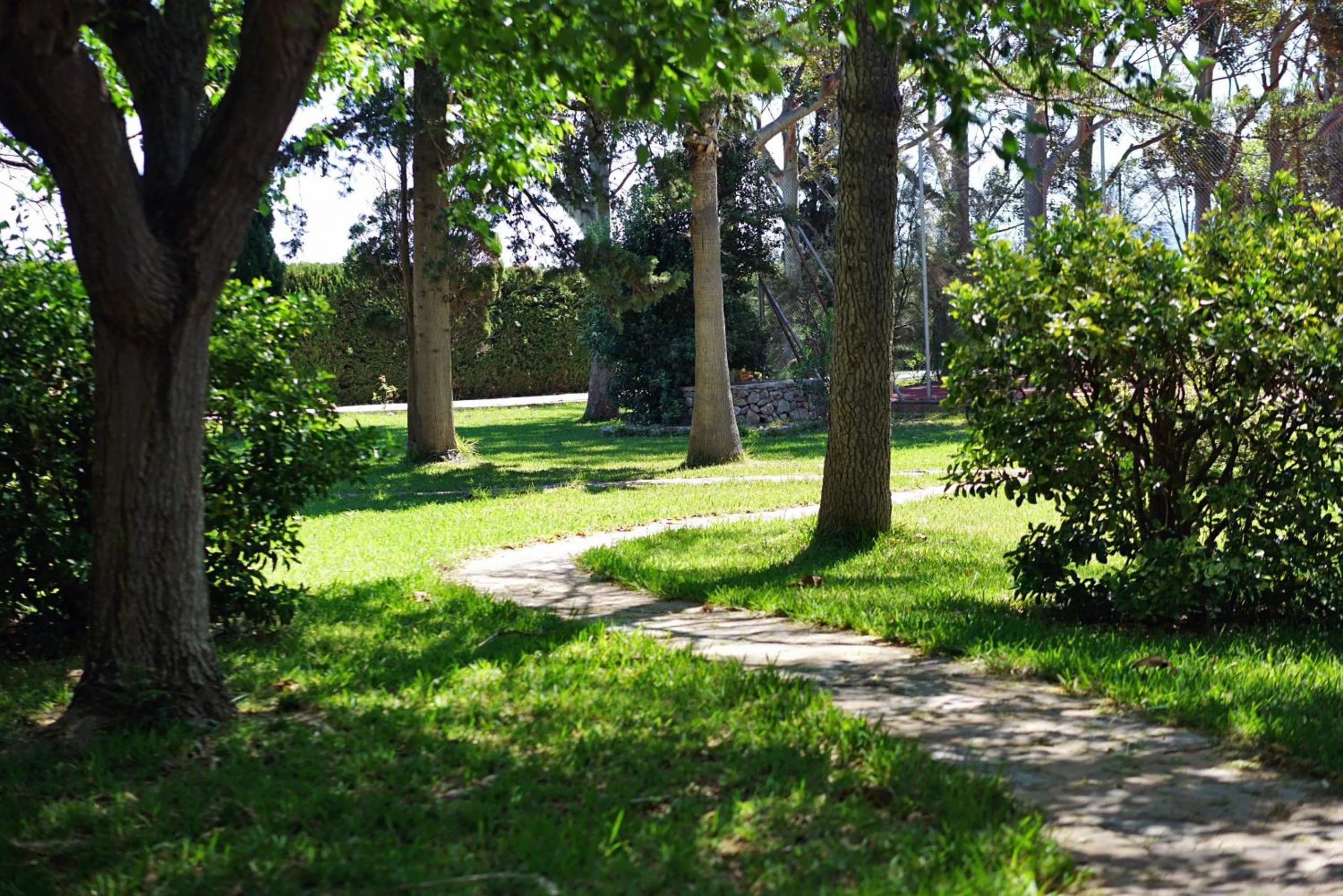 Other in El Bikoro