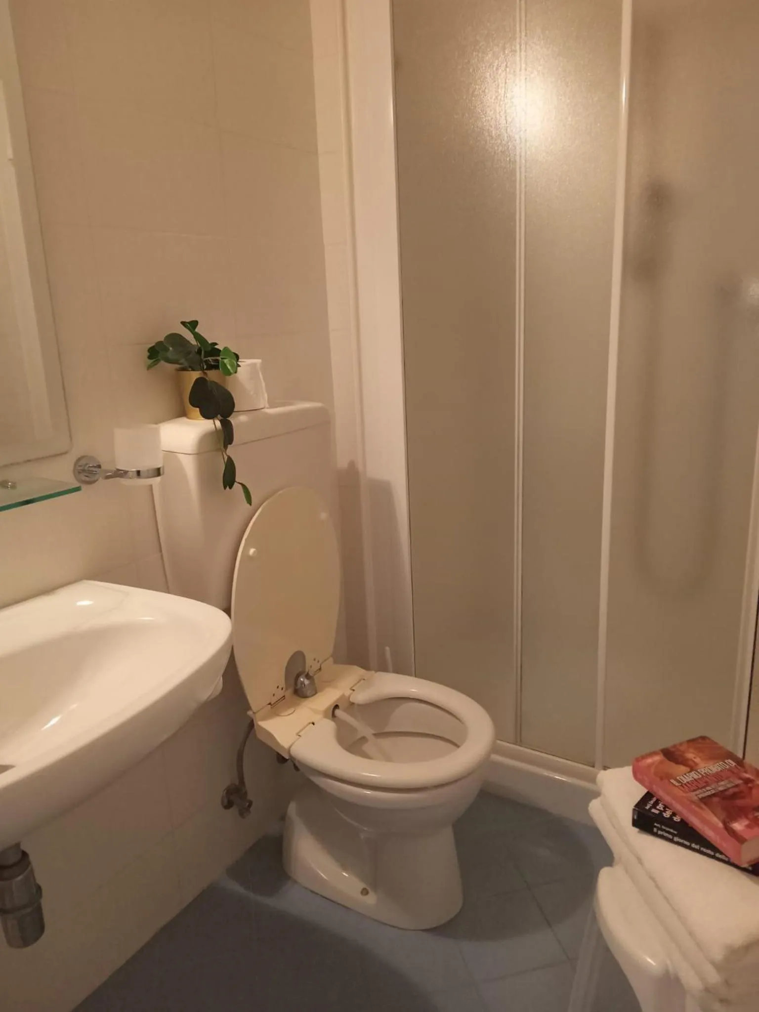 Toilet in Hotel Haiti