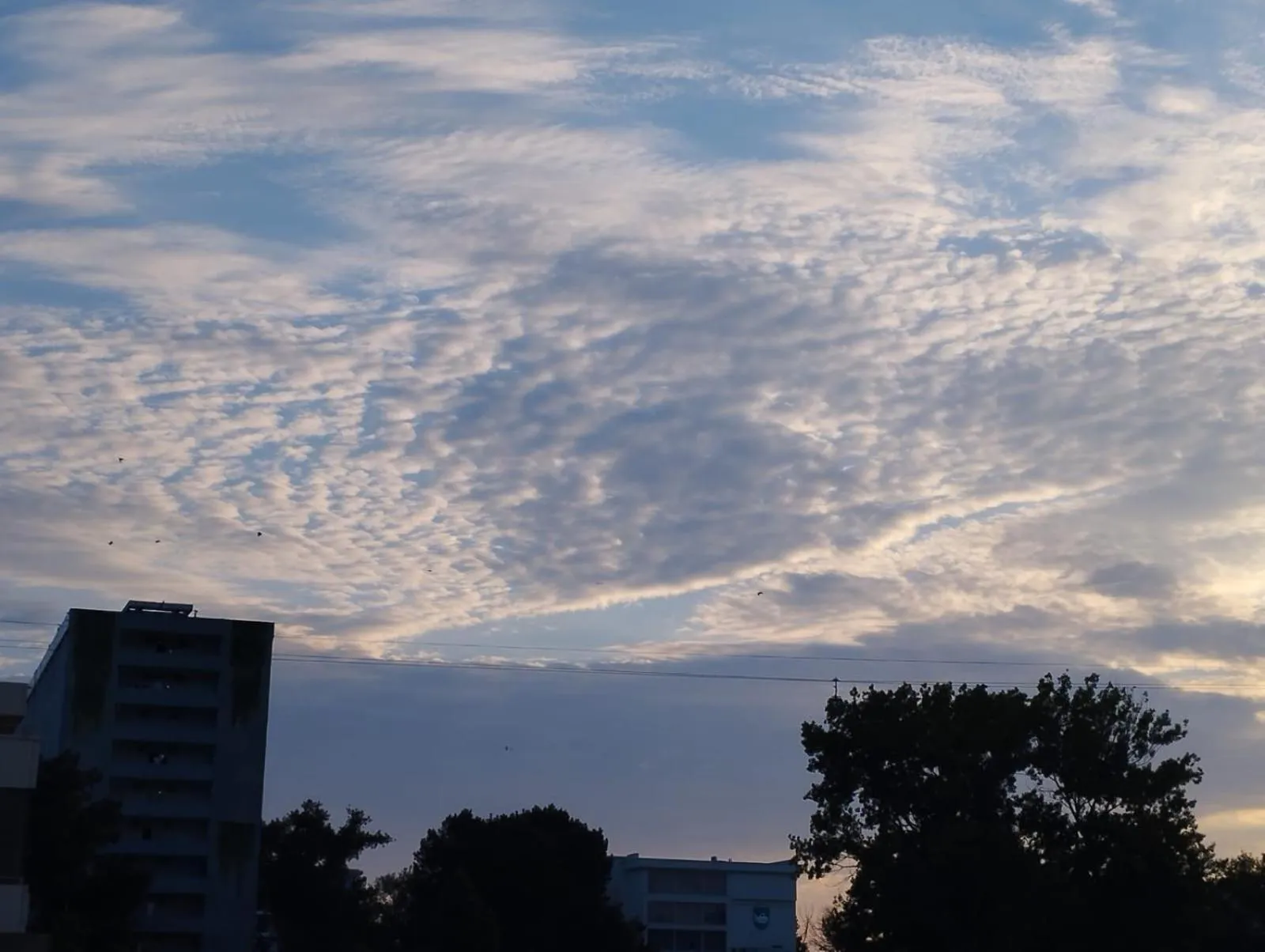 Facade/entrance in Hotel Doina