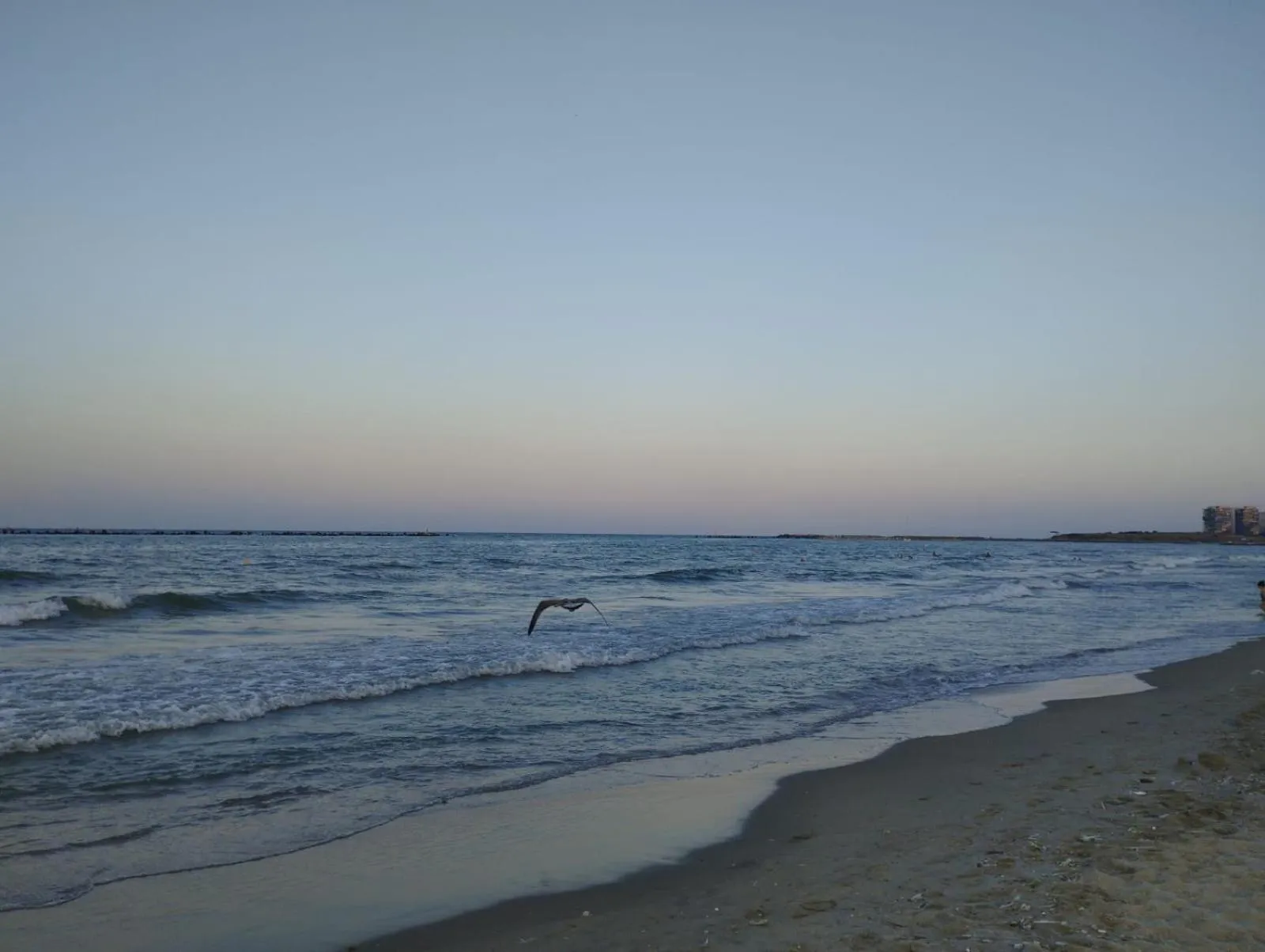 Natural landscape in Hotel Doina