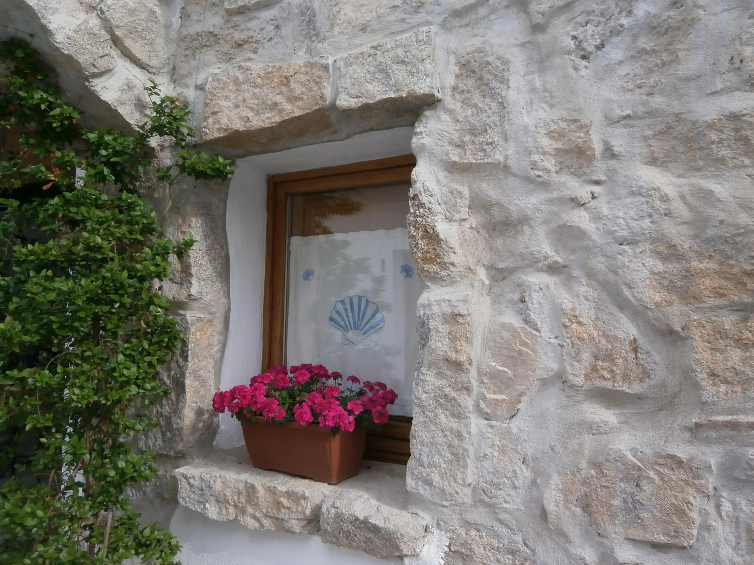 Garden in Olbia Domus Inn