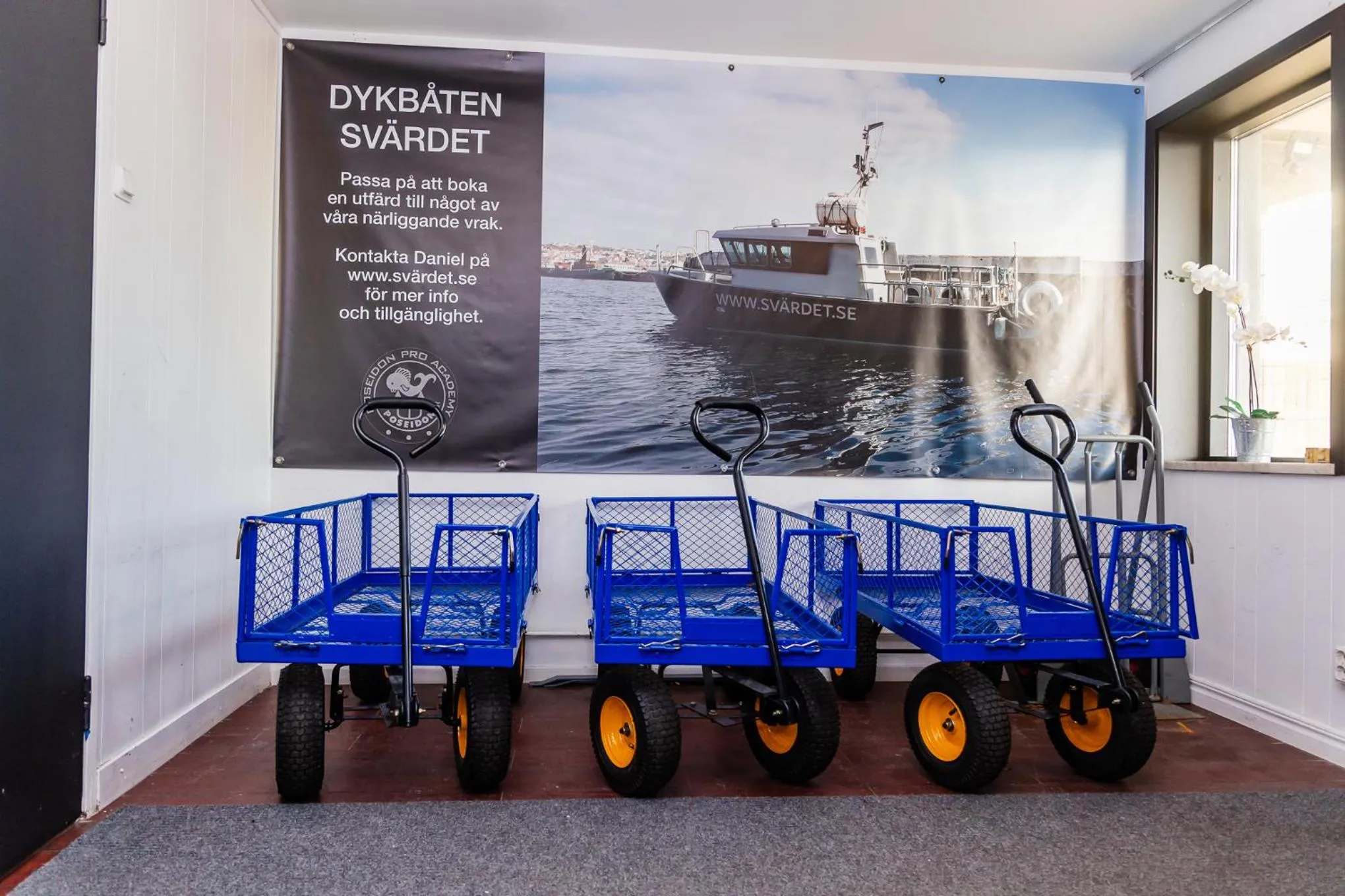 Diving in Hotel Lysekil