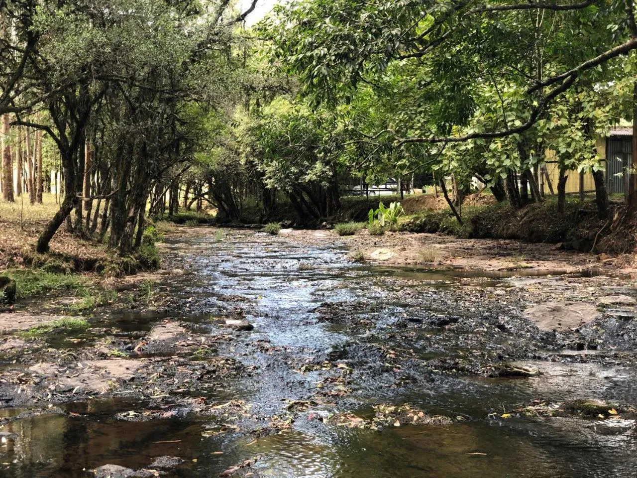 Garden view in Cabana no Campo Caminho do Salto Ventoso