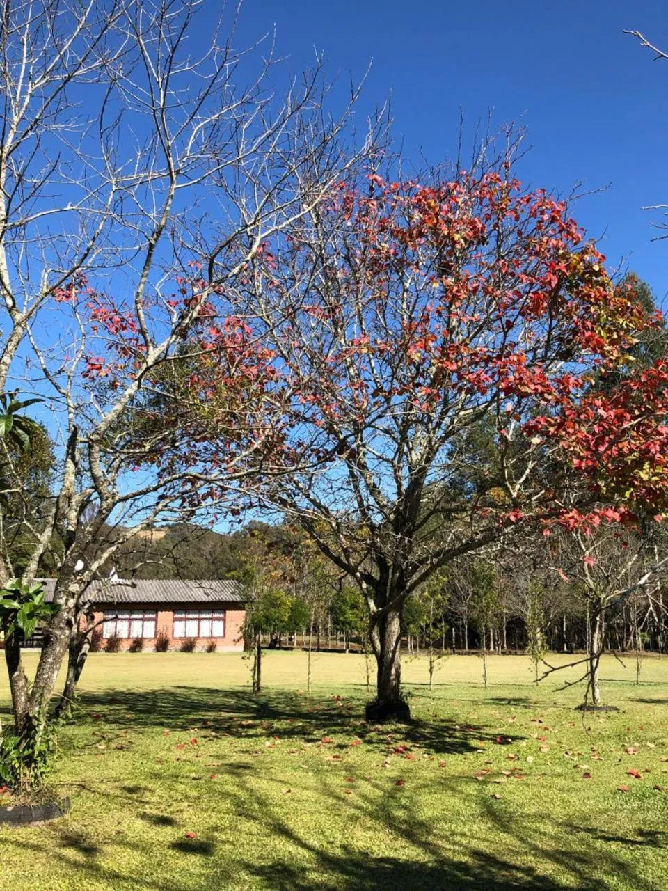 Cabana no Campo Caminho do Salto Ventoso