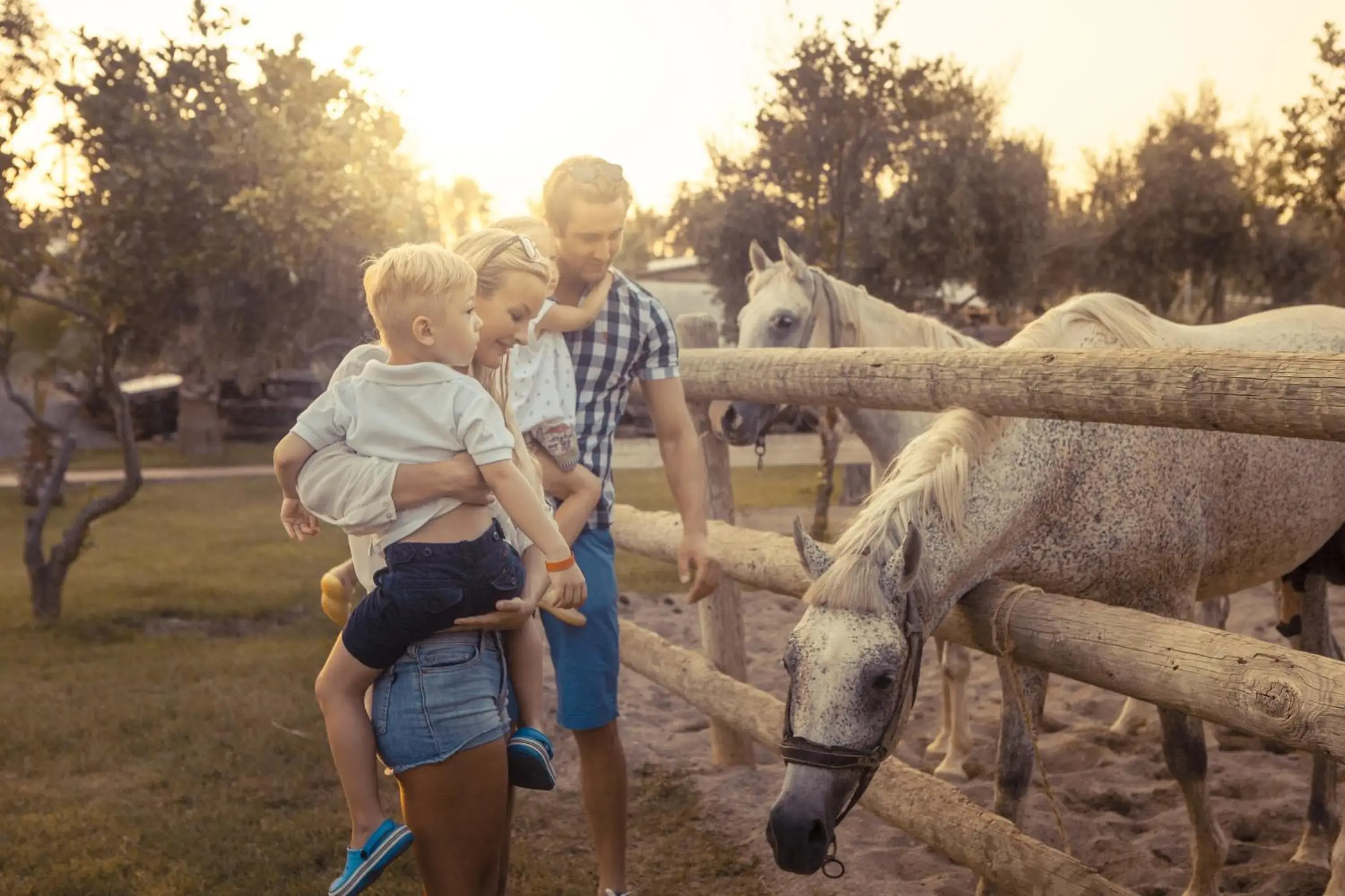 Pets, Family in Club Hotel Turan Prince World