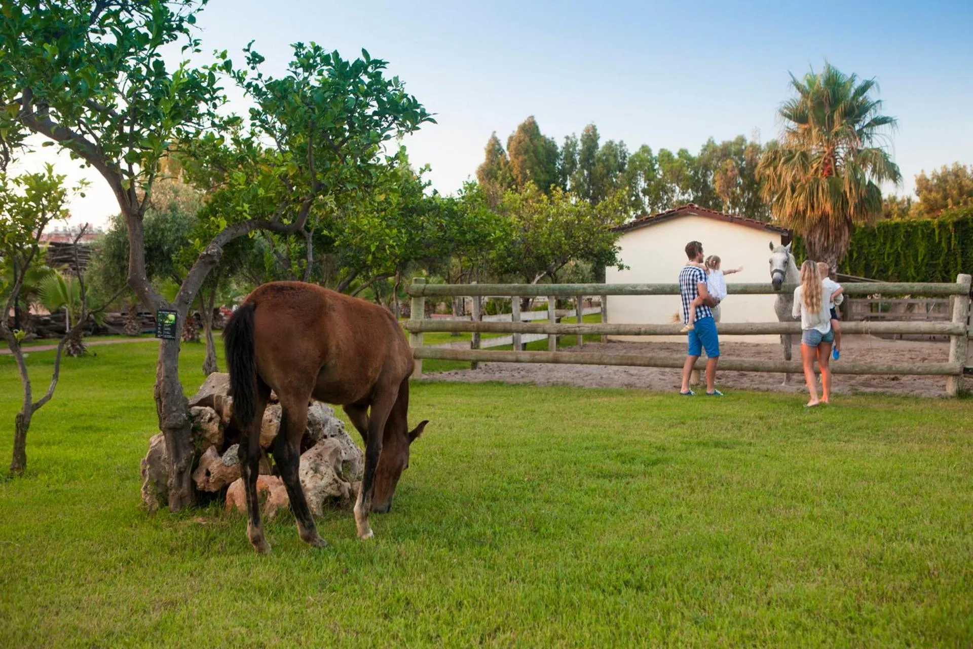 Garden in Club Hotel Turan Prince World - Kids Concept