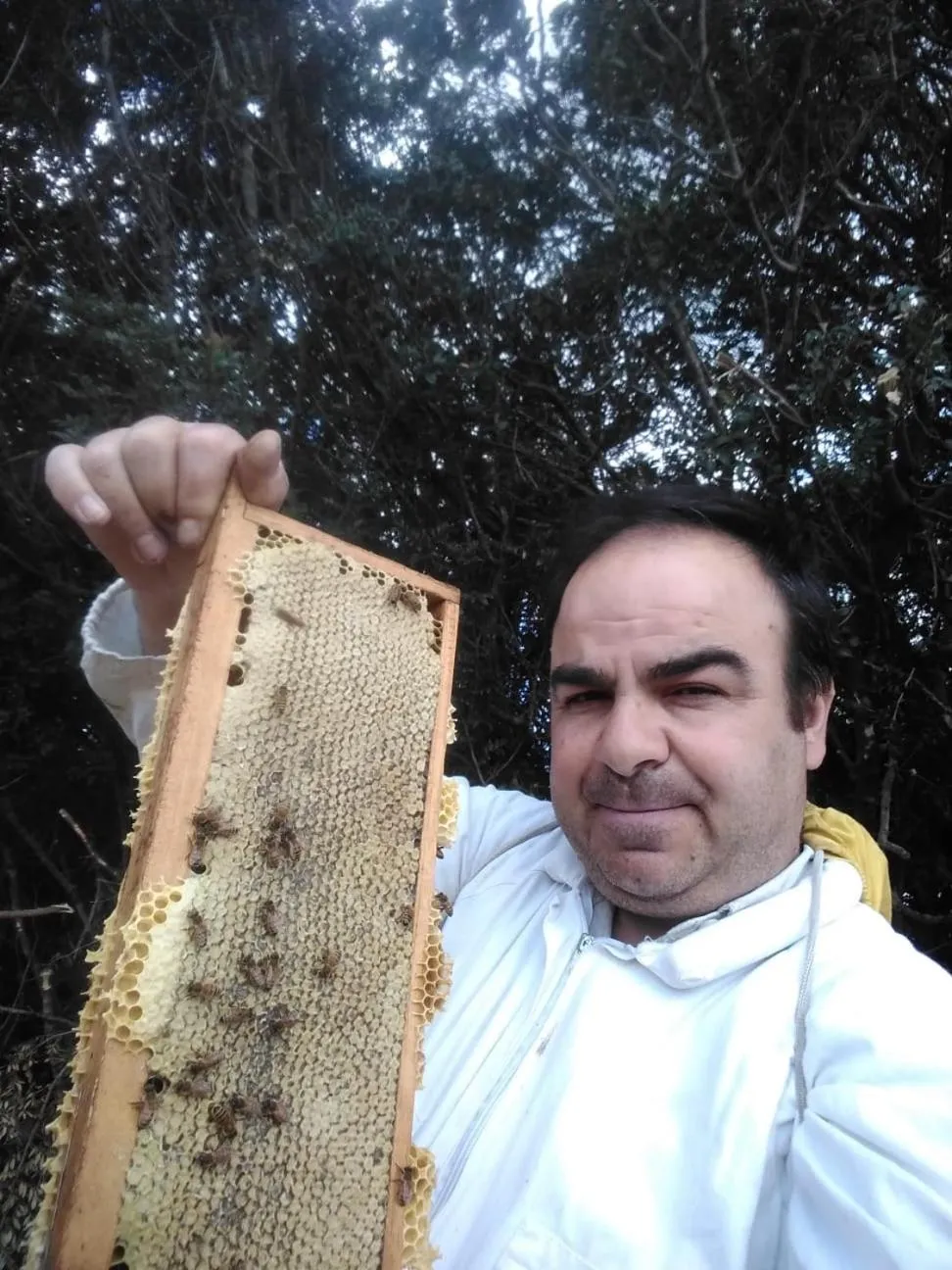 Natural landscape in Borgo Antico XIX sec.