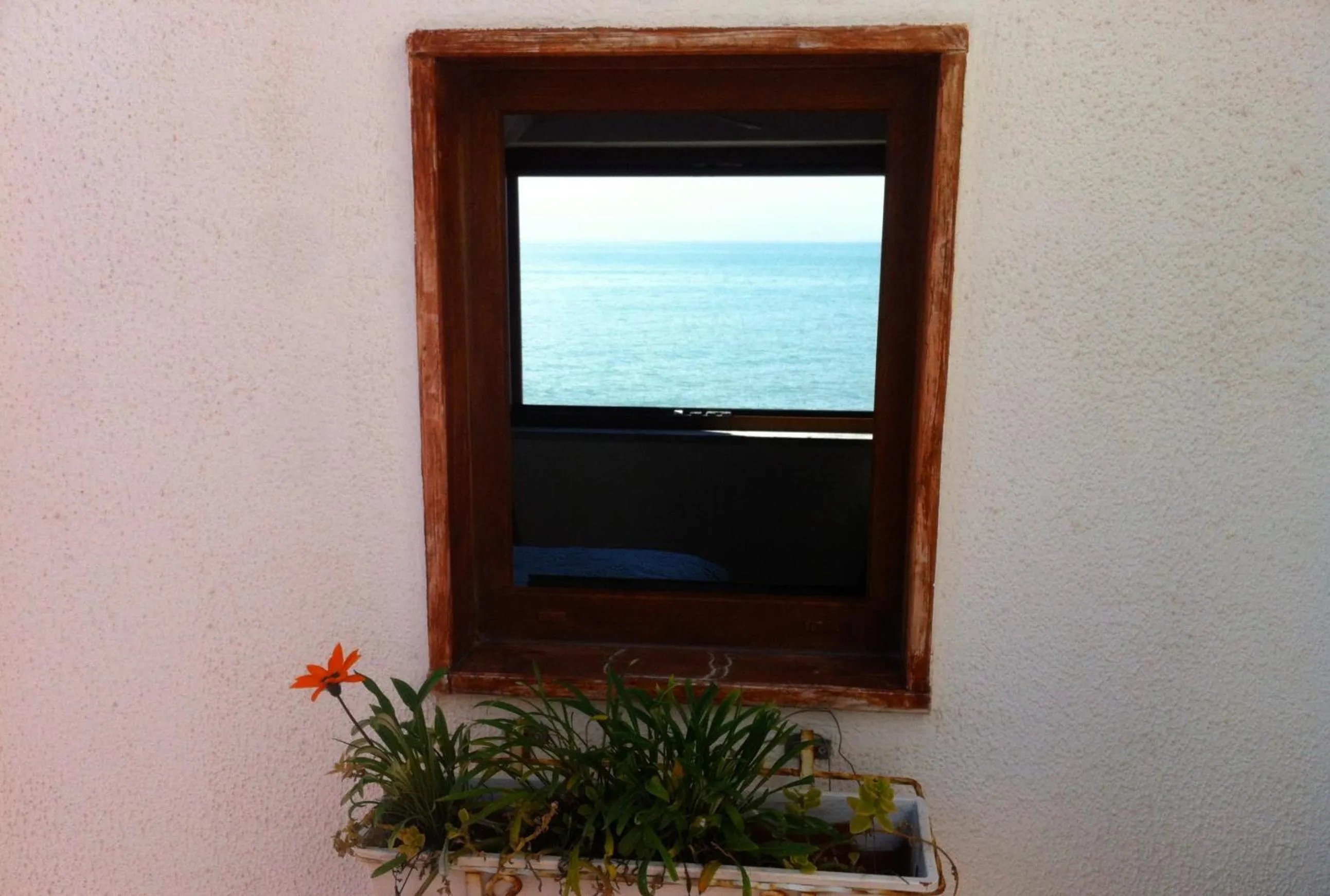 View (from property/room) in 14 Leoni