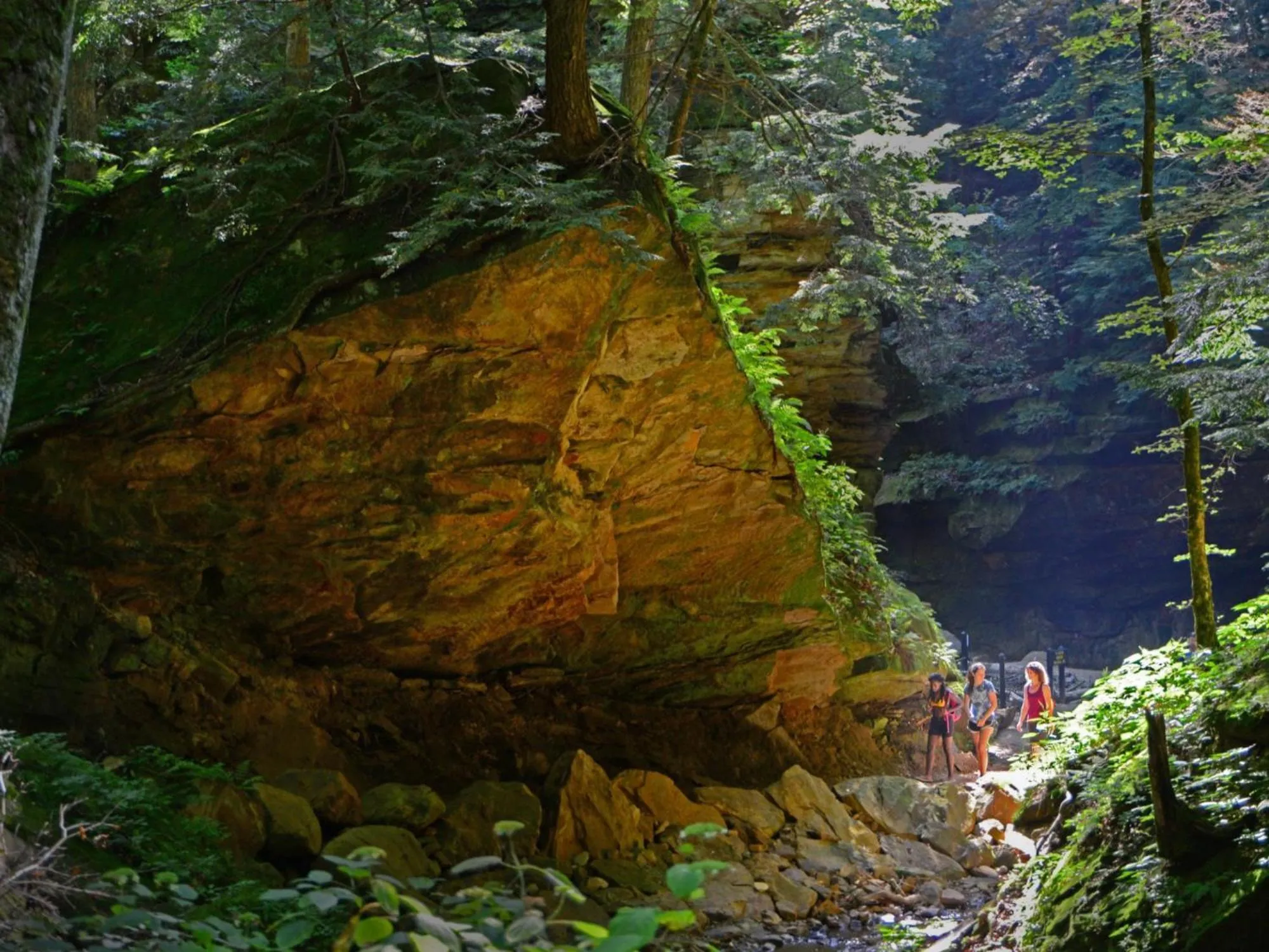 View (from property/room) in Turkey Run Inn & Cabins