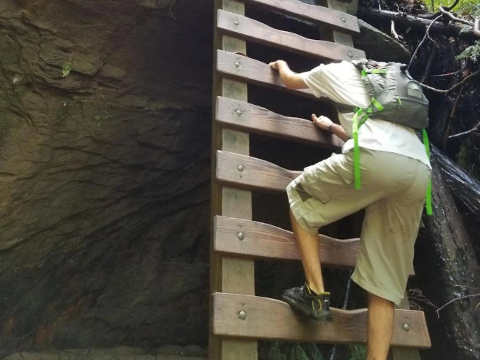 View (from property/room) in Turkey Run Inn & Cabins