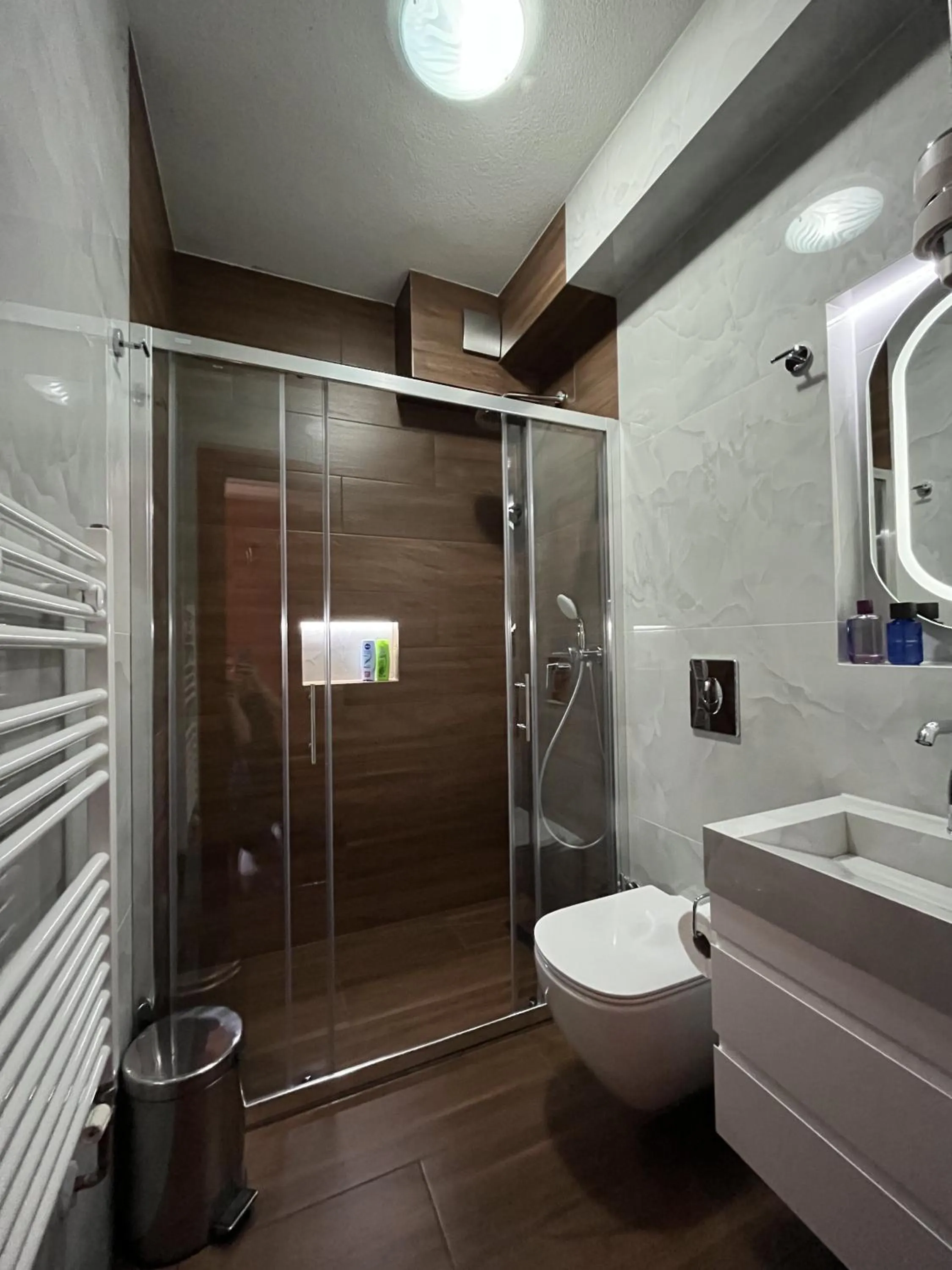 Toilet in Villa Dislievski