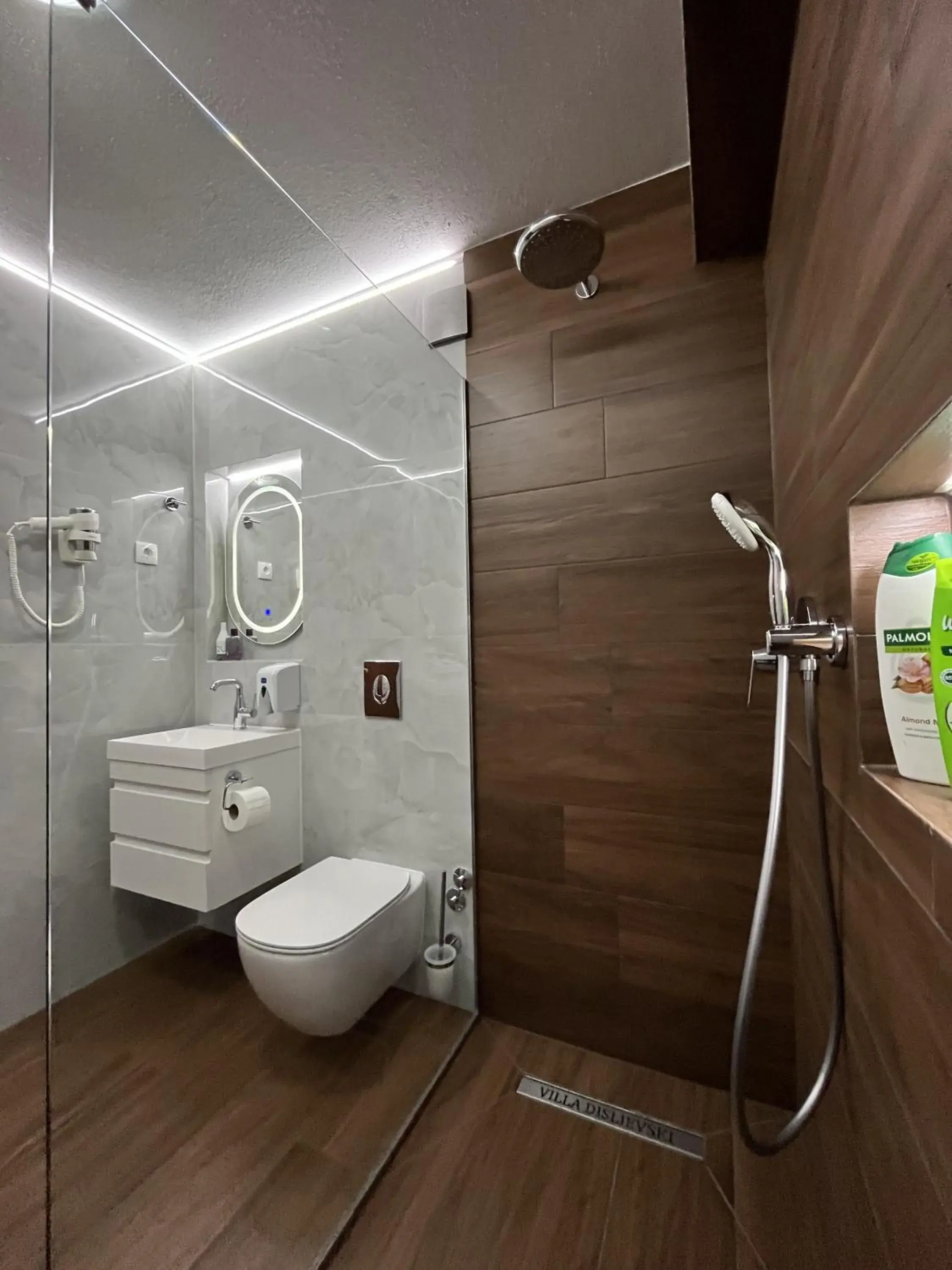 Triple Room with Kitchenette and Balcony in Villa Dislievski Triple Room with Kitchenette and Balcony in Villa Dislievski