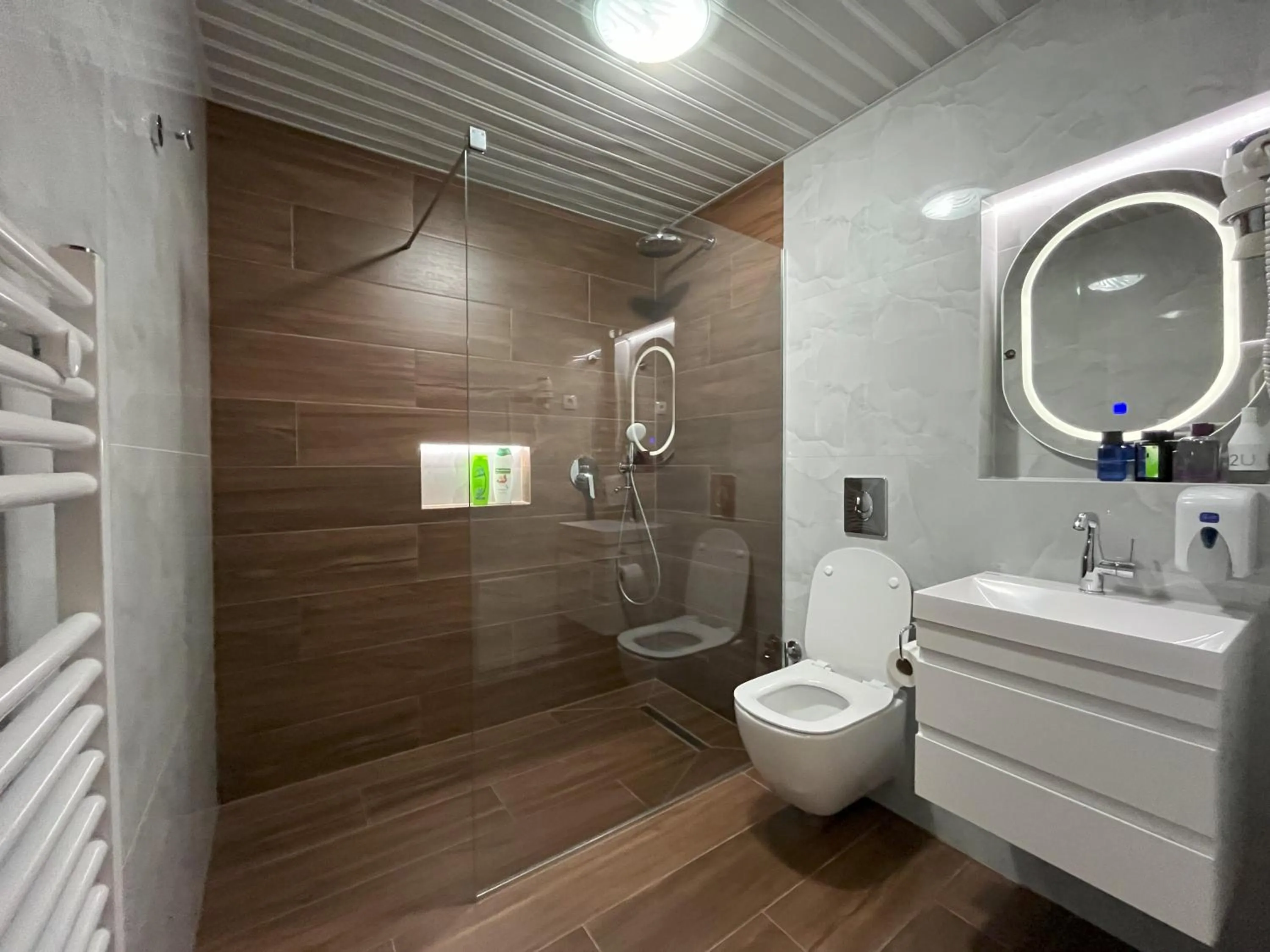 Toilet in Villa Dislievski