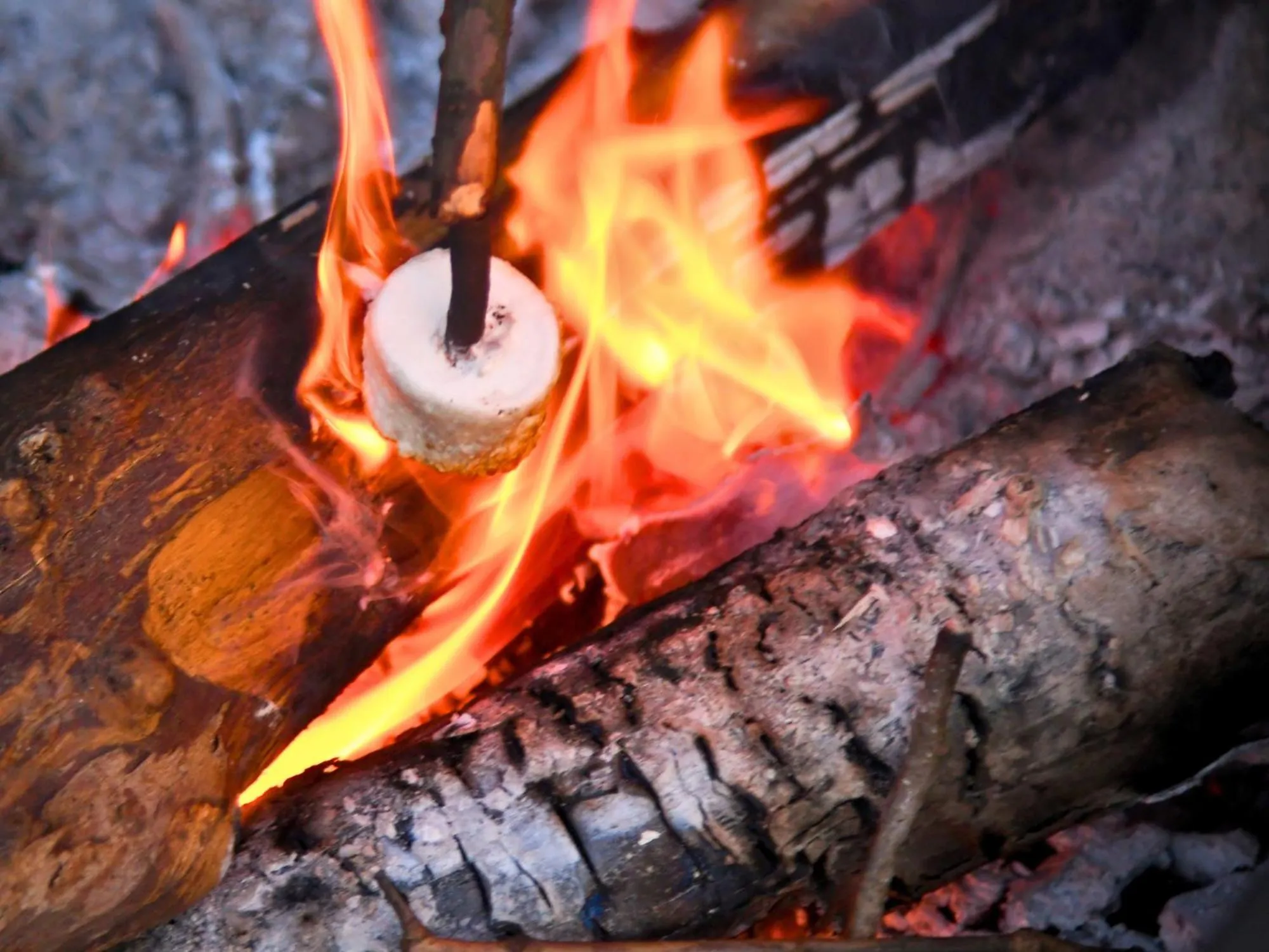 fireplace in Potawatomi Inn & Cabins
