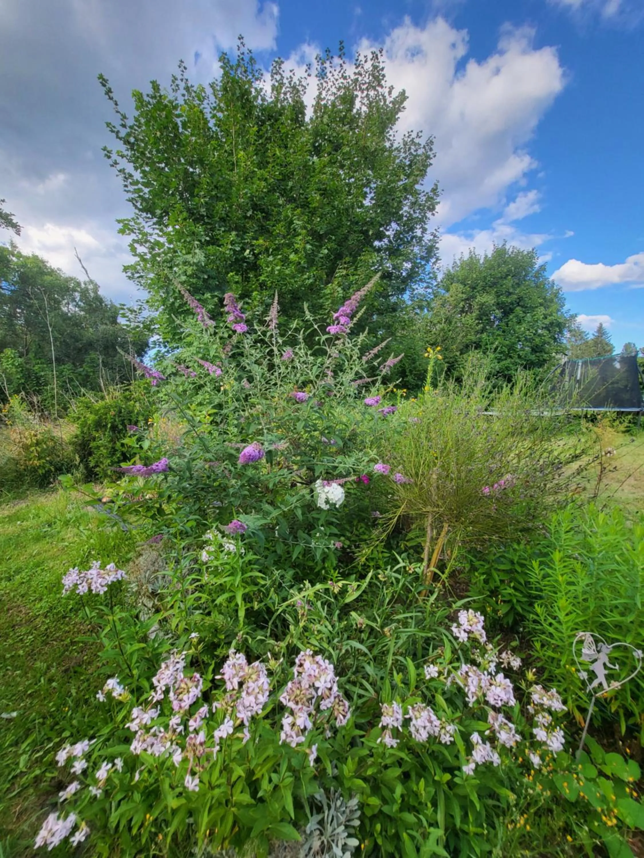 Garden view in Landhotel "Zum ersten Siedler"