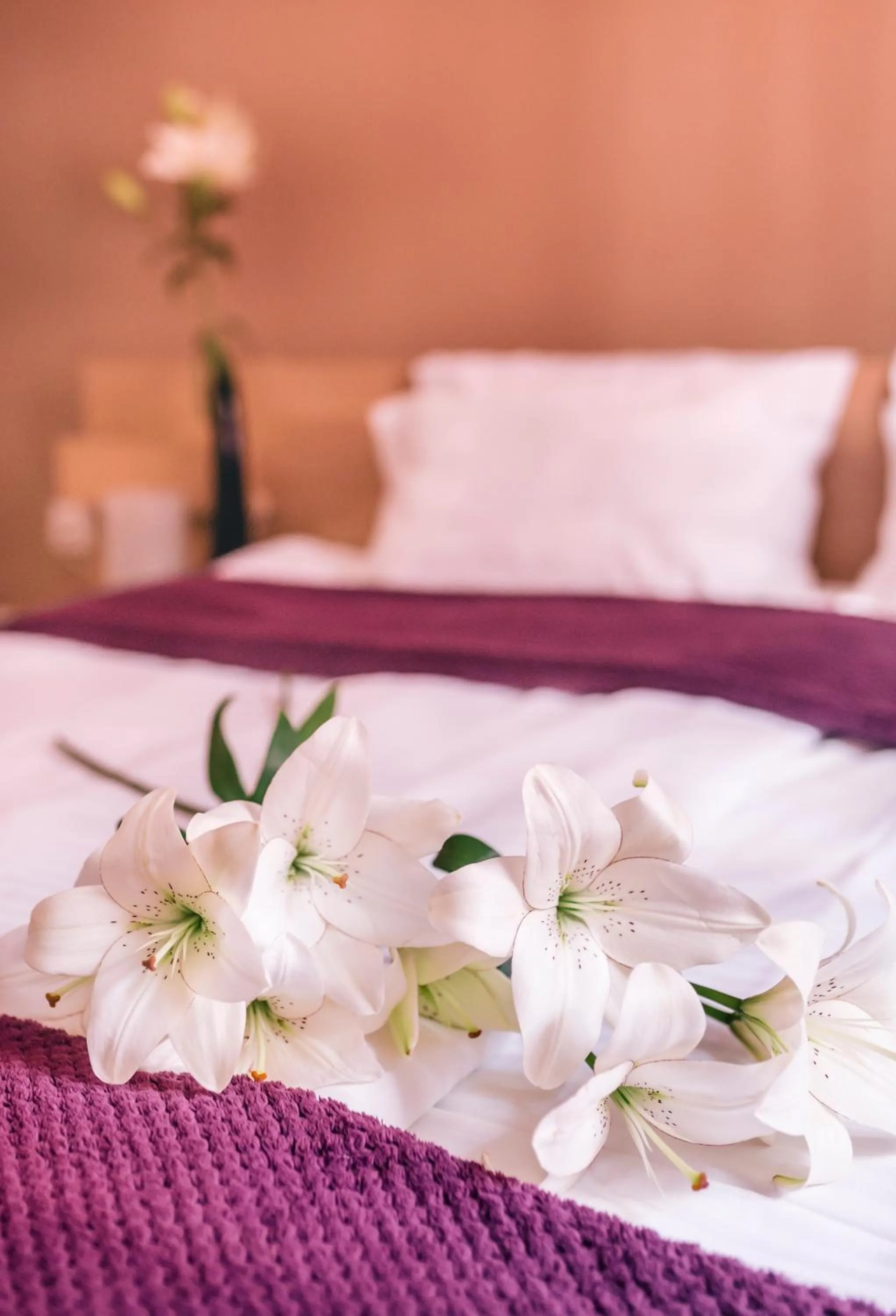 Bedroom, Bed in Veliki Garni Hotel