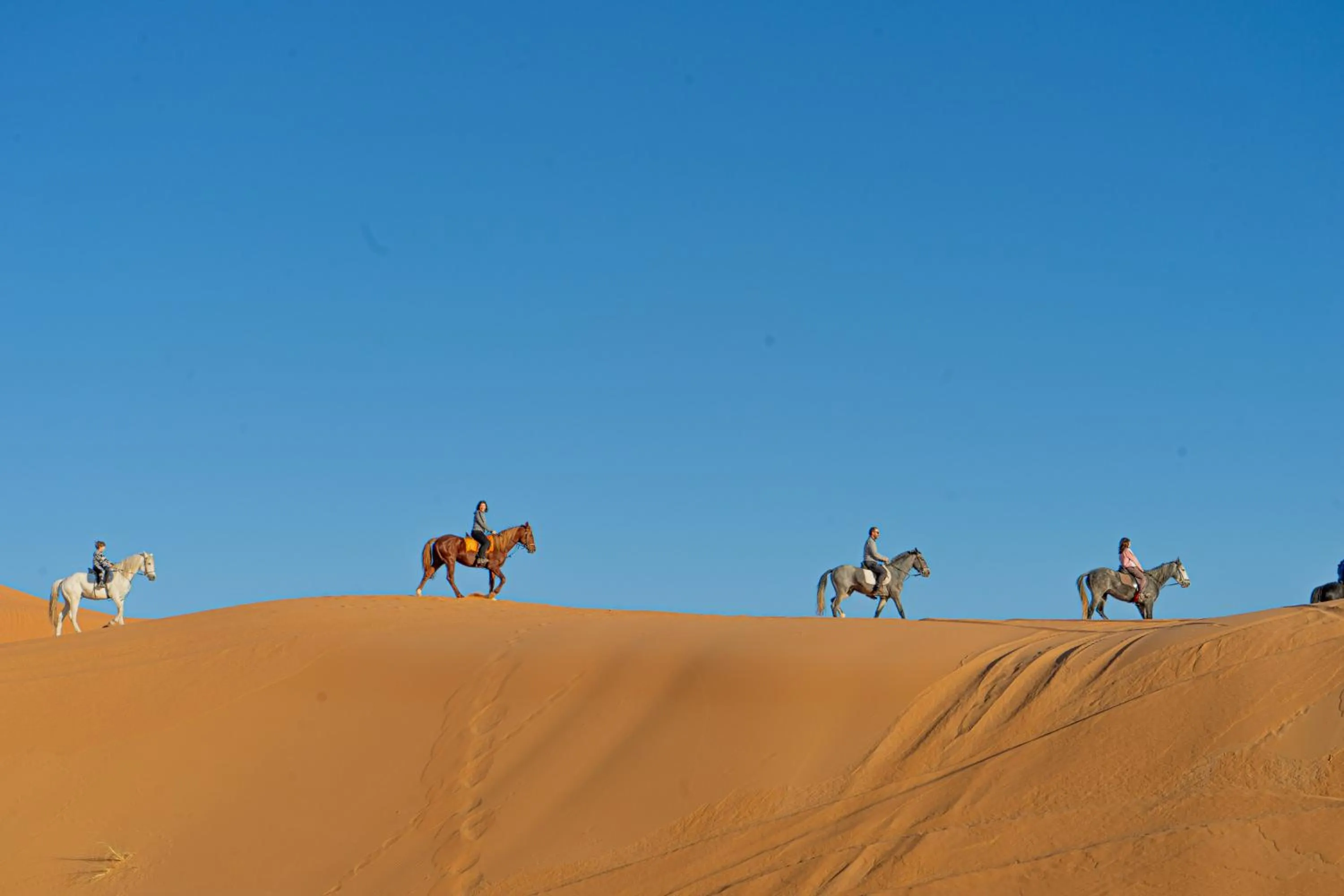 Horse-riding in Kasbah Erg Chebbi