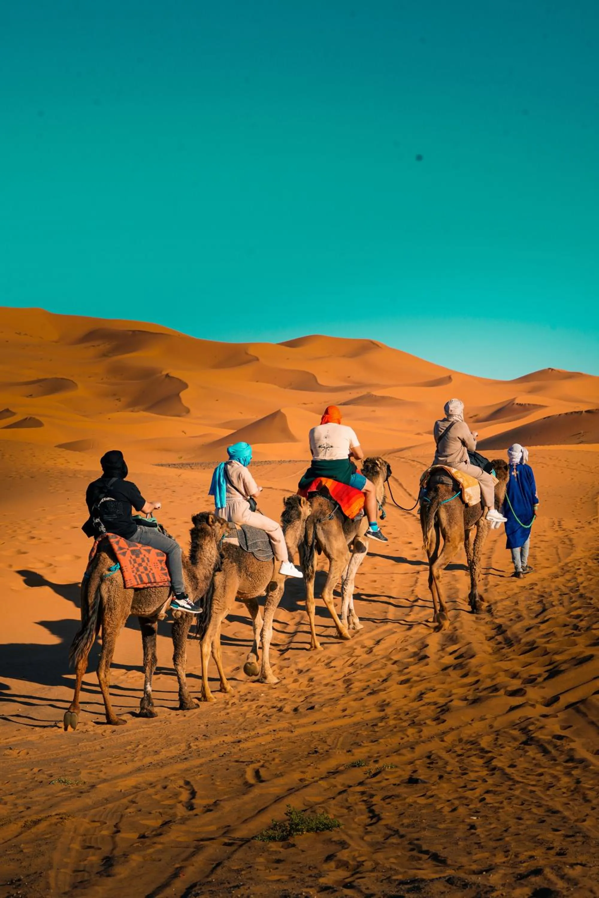 Activities in Kasbah Erg Chebbi