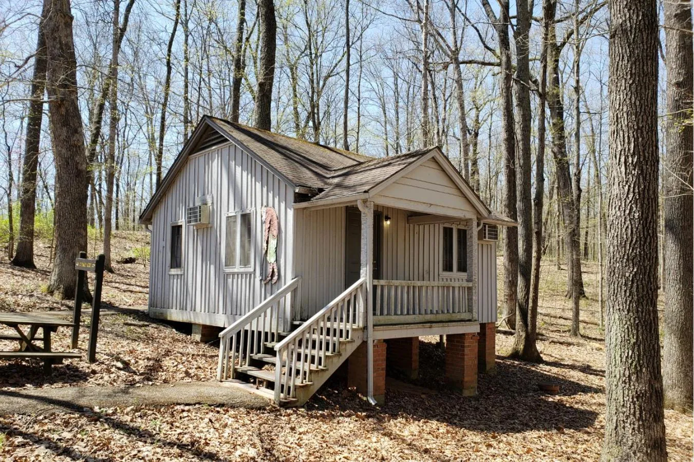 Budget Double Cabin in Abe Martin Lodge & Cabins