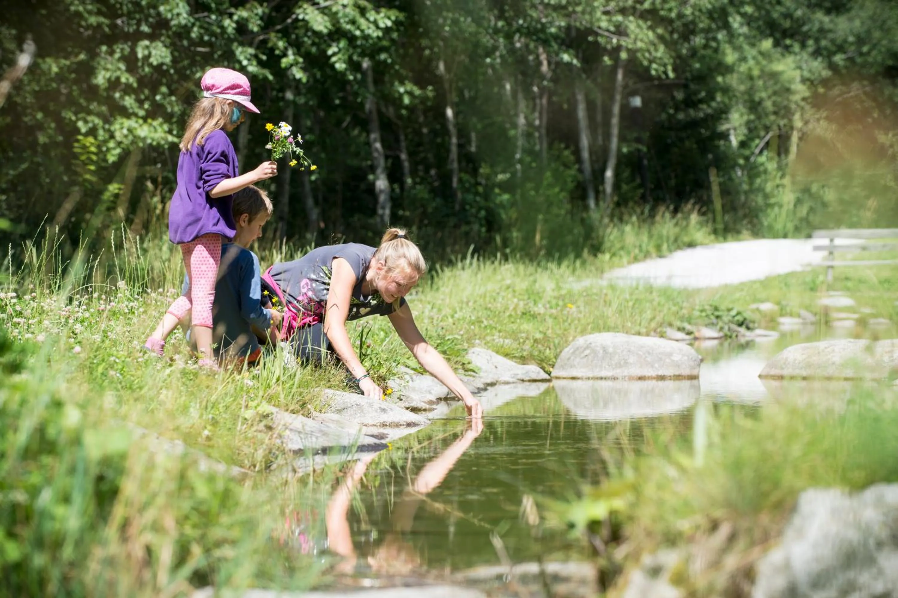 Animals in Hotel Alpin