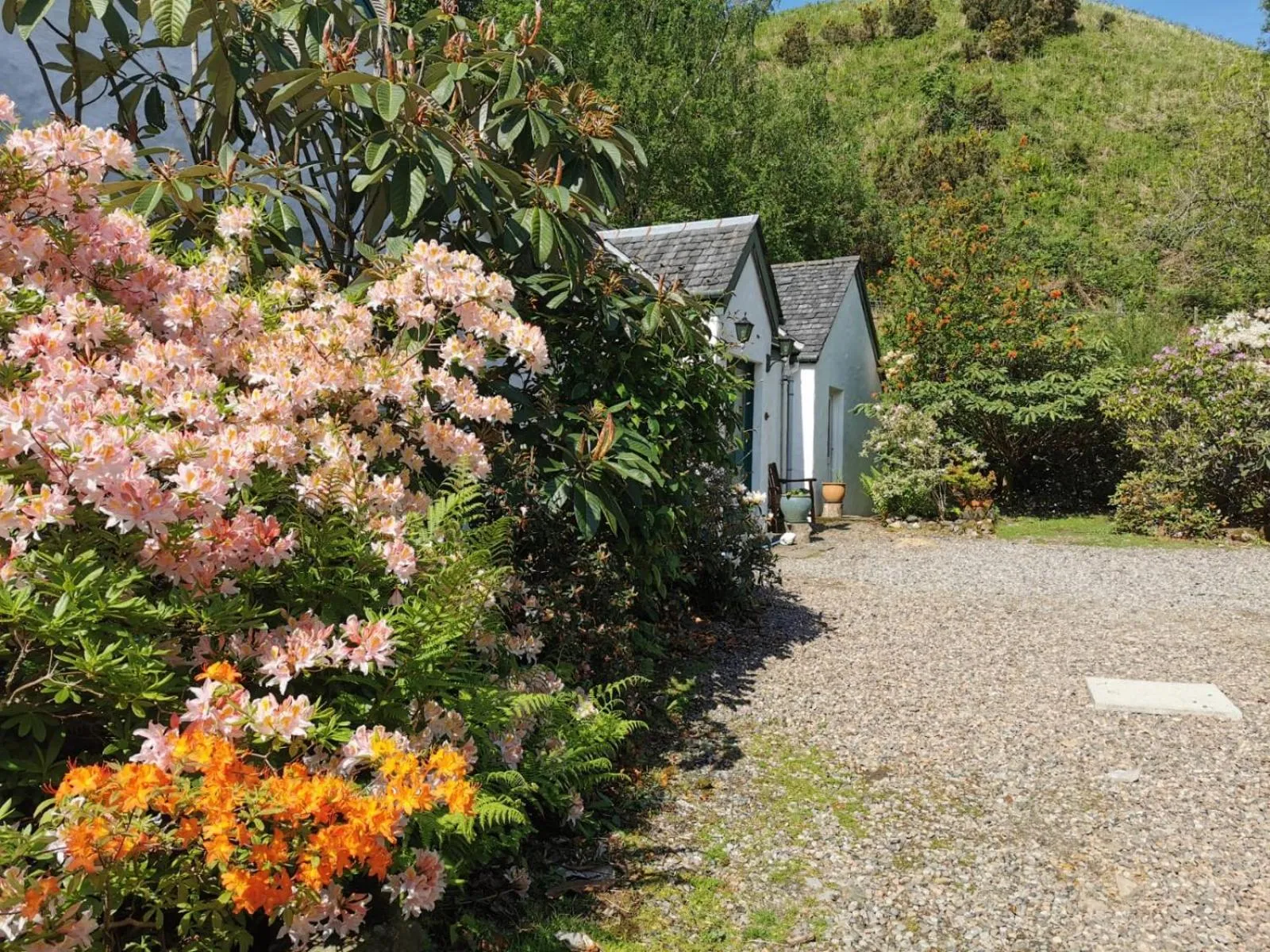 Facade/entrance in The Old Cottage