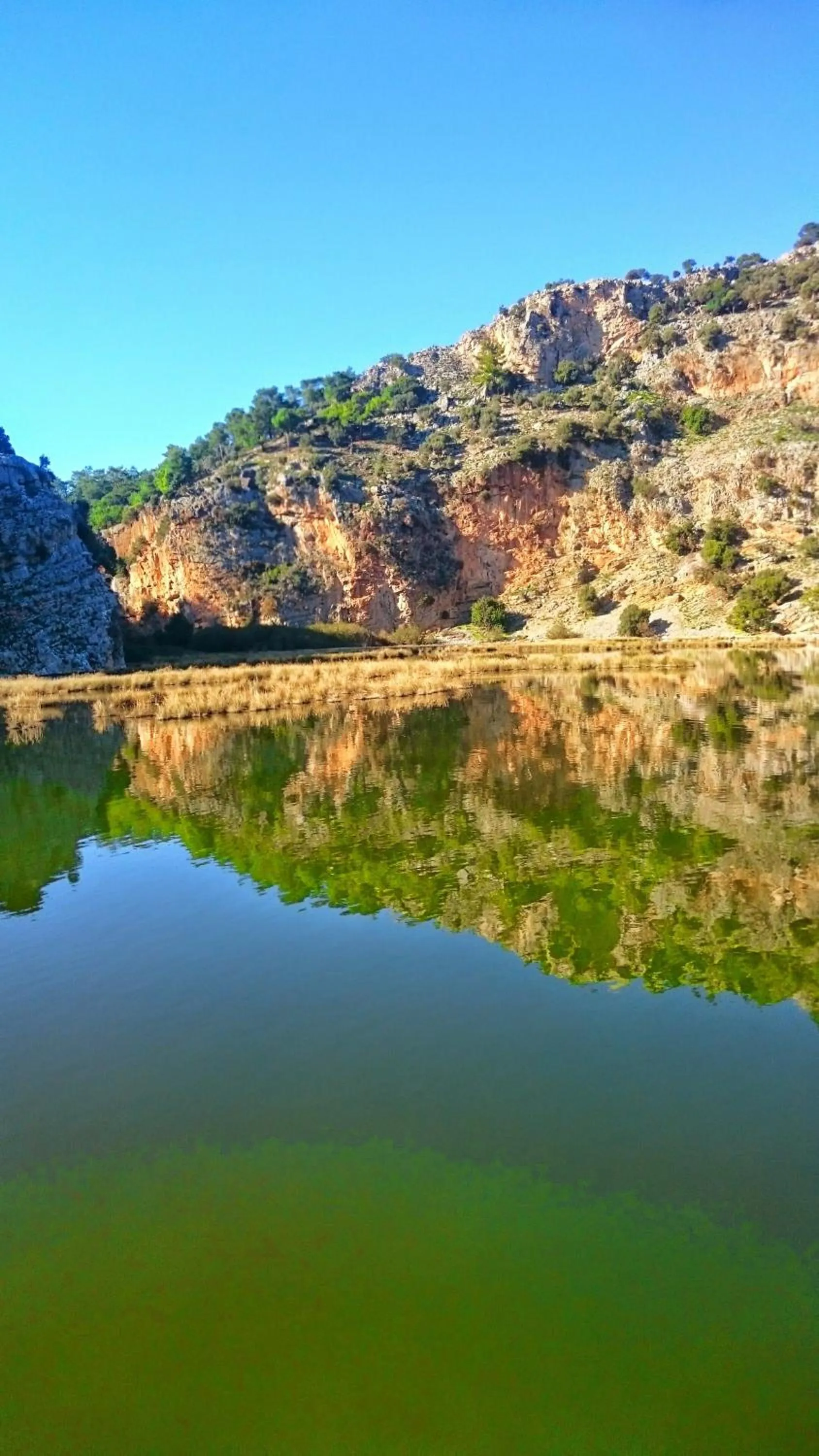 Balcony/Terrace in Dalyan Hotel Caria Royal