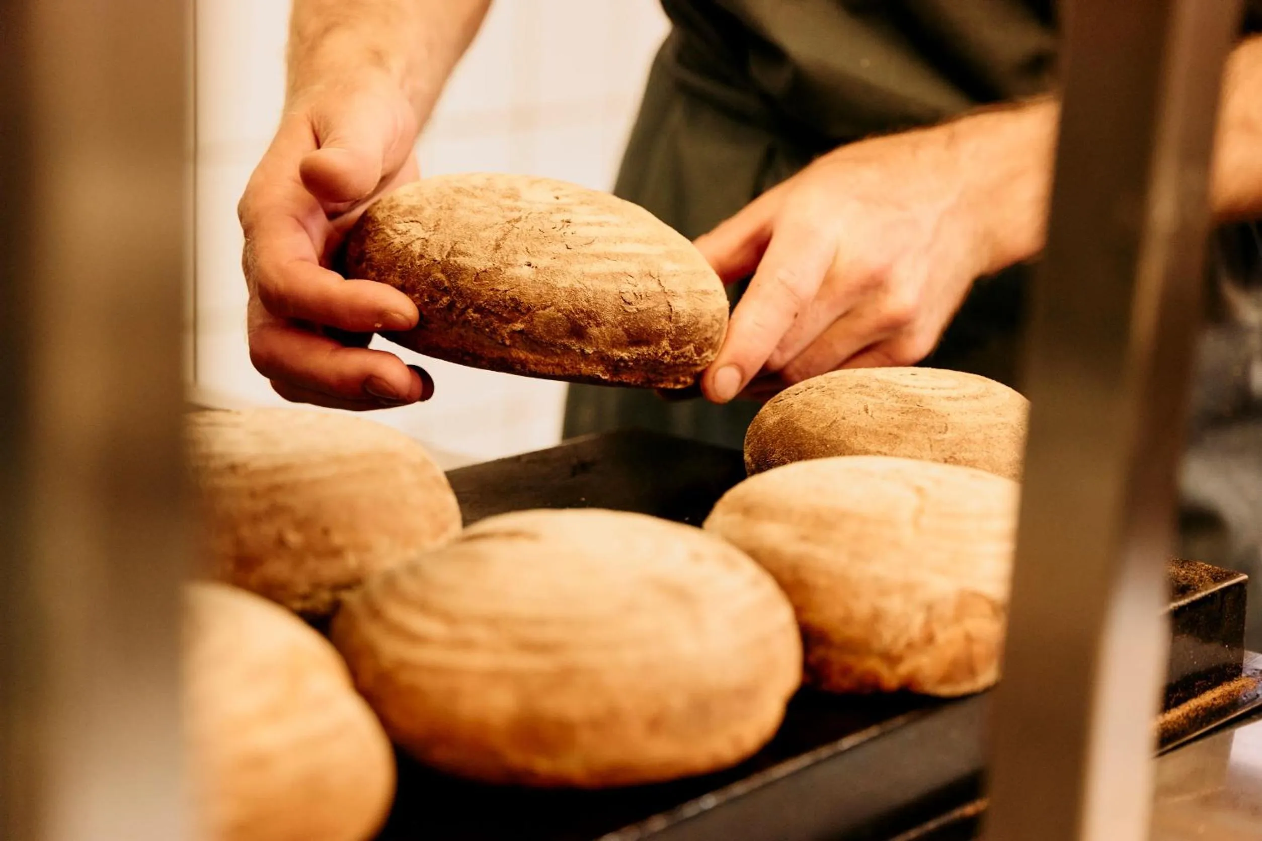 kitchen in ARX Guesthouse