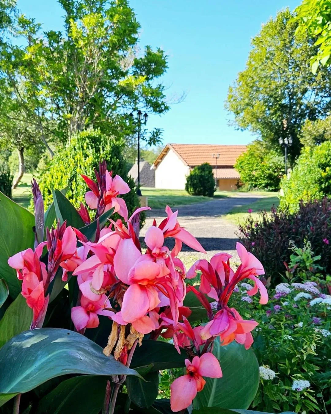 Domaine de La Rhonie
