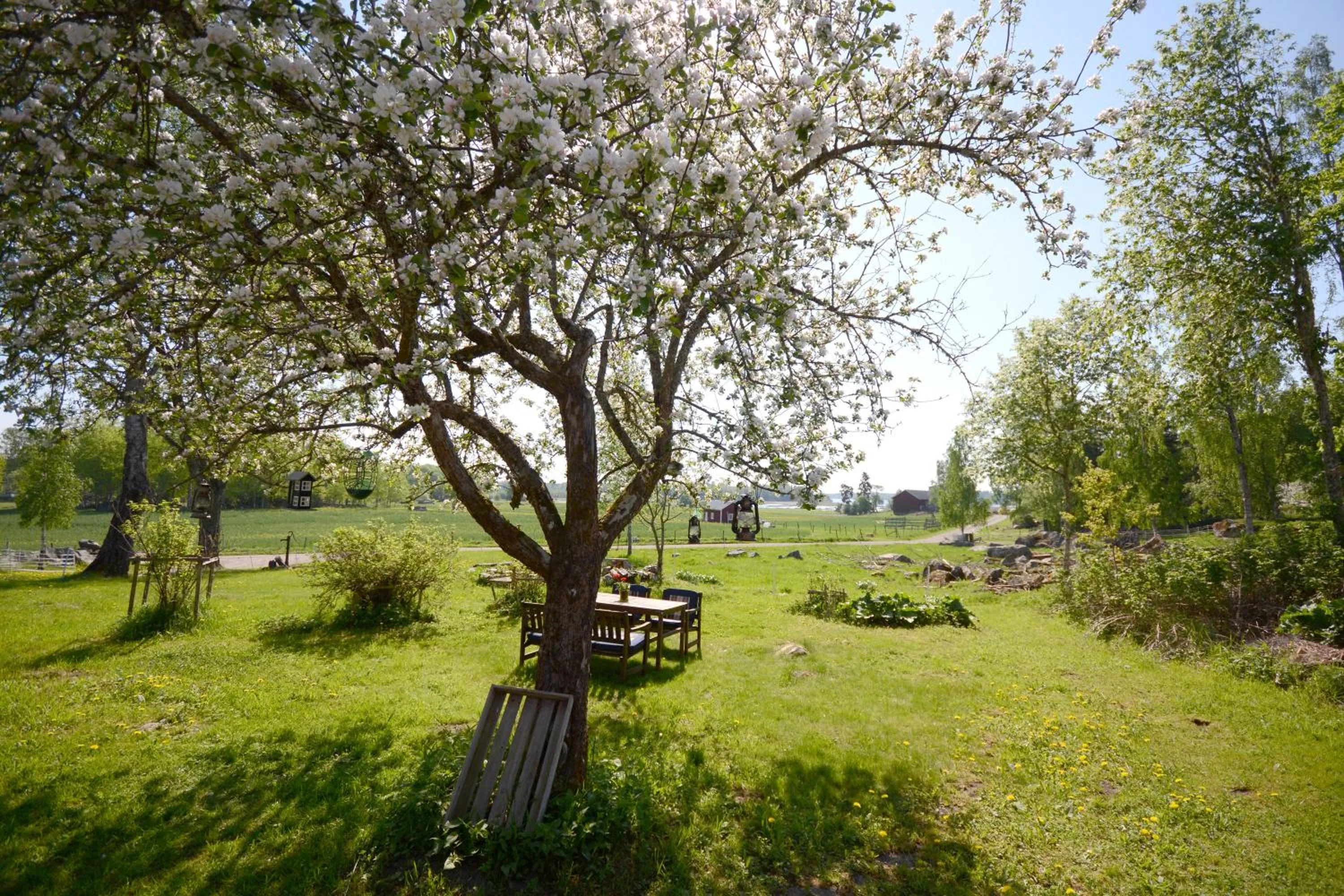 Garden in Eden's Garden Cottages