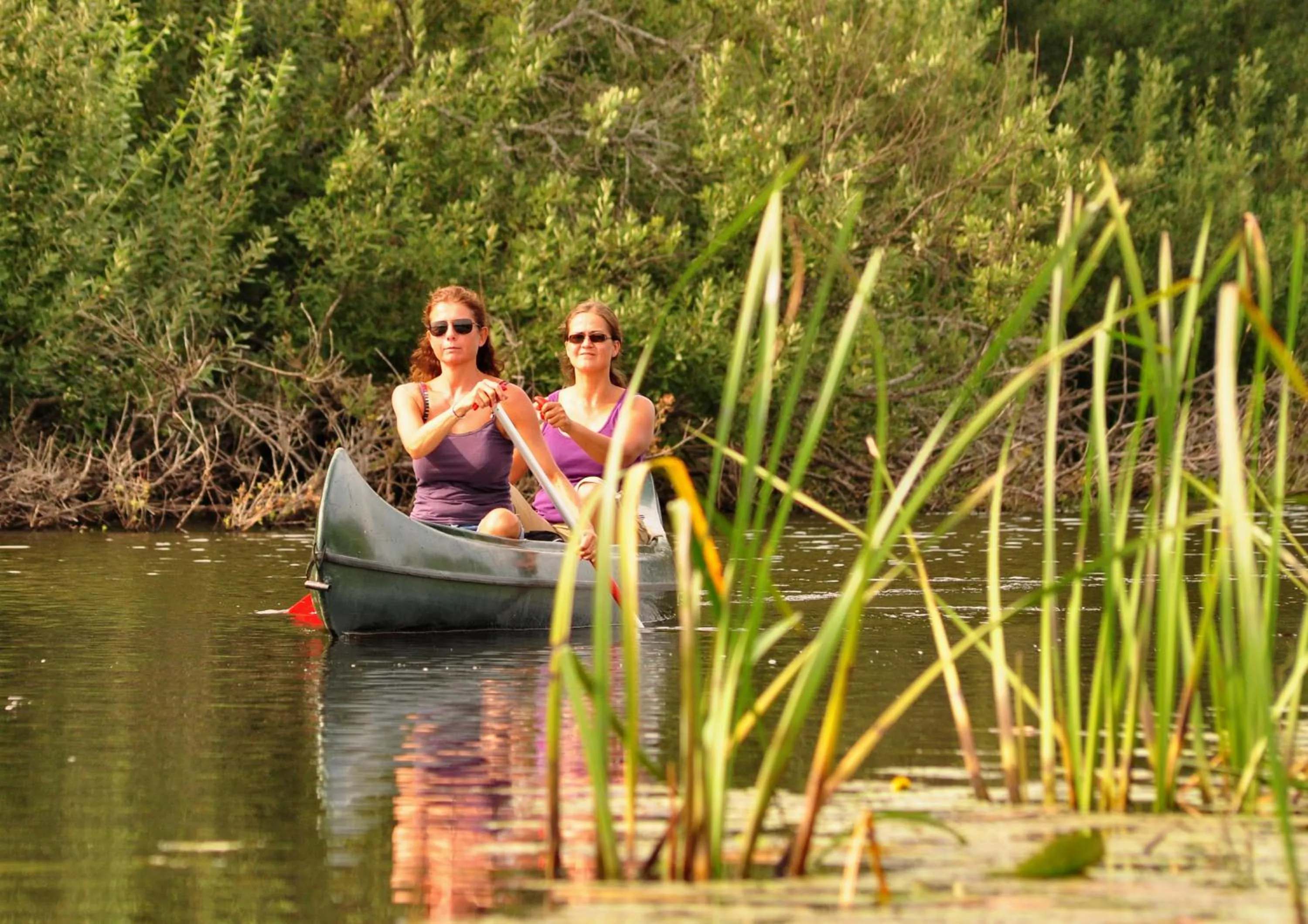 Activities in Eden's Garden Cottages